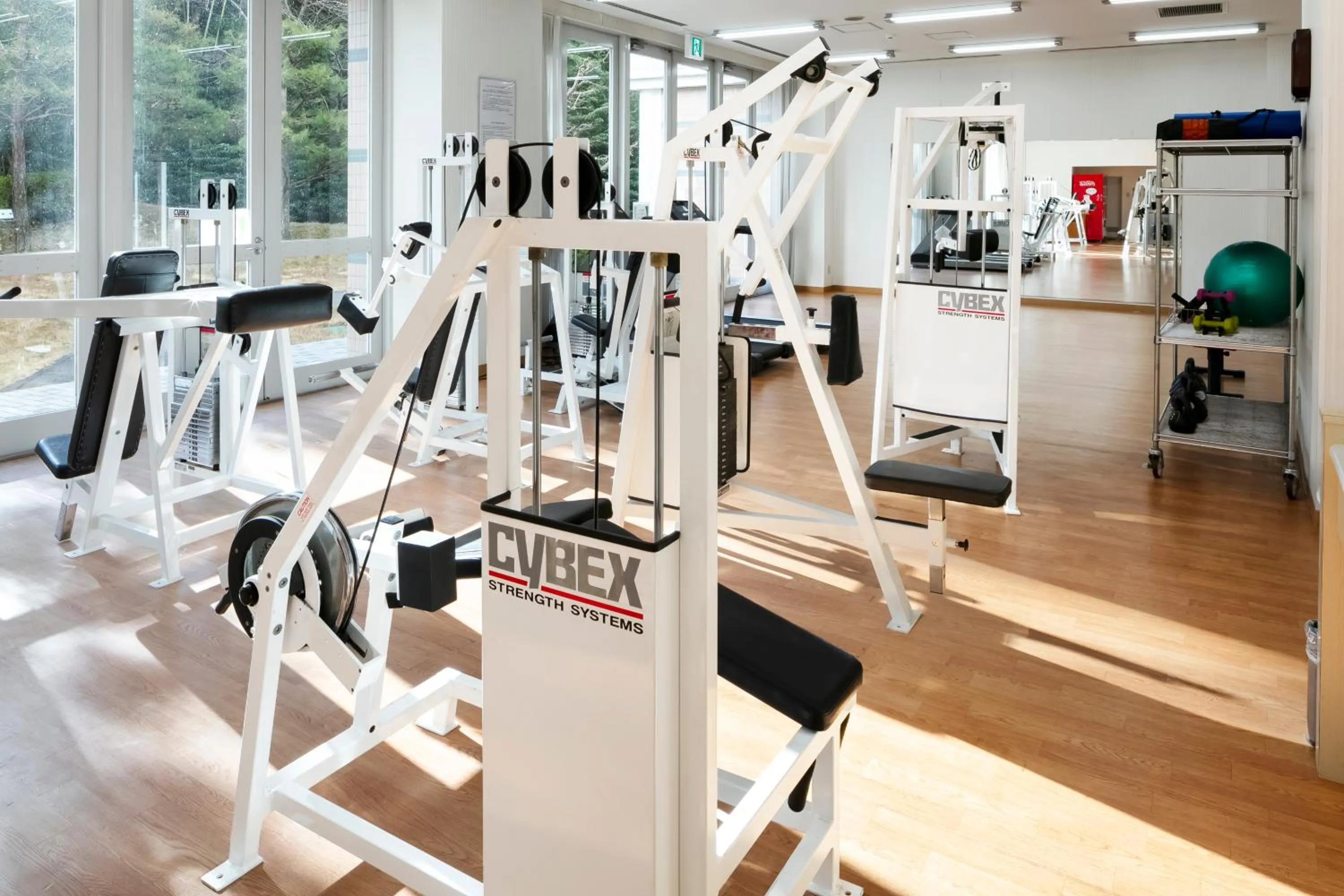 Narita Gateway Hotel