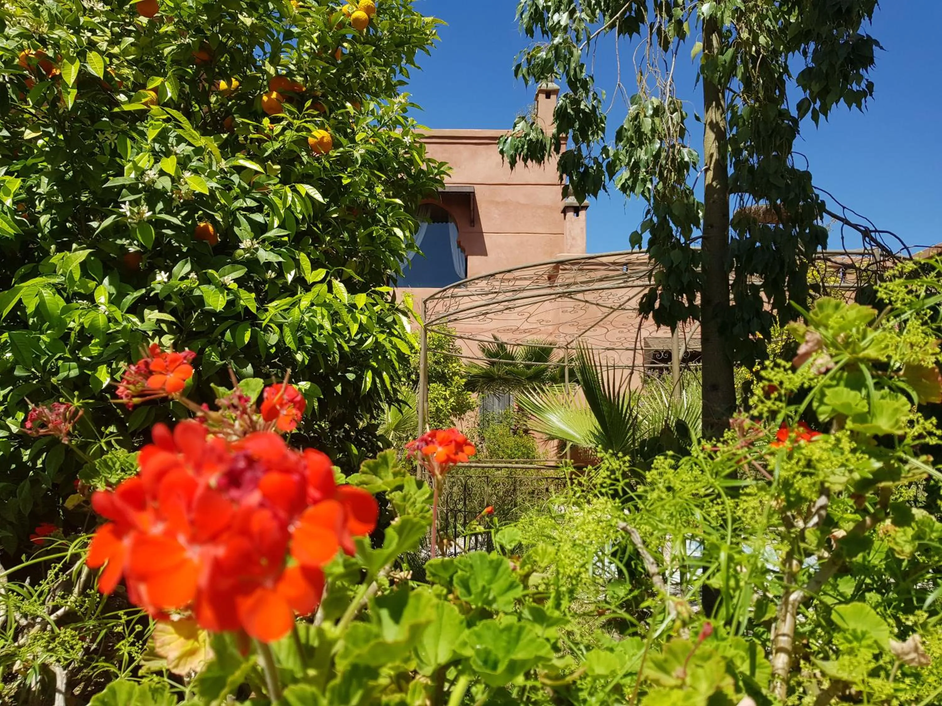 Spring in Ksar Salha