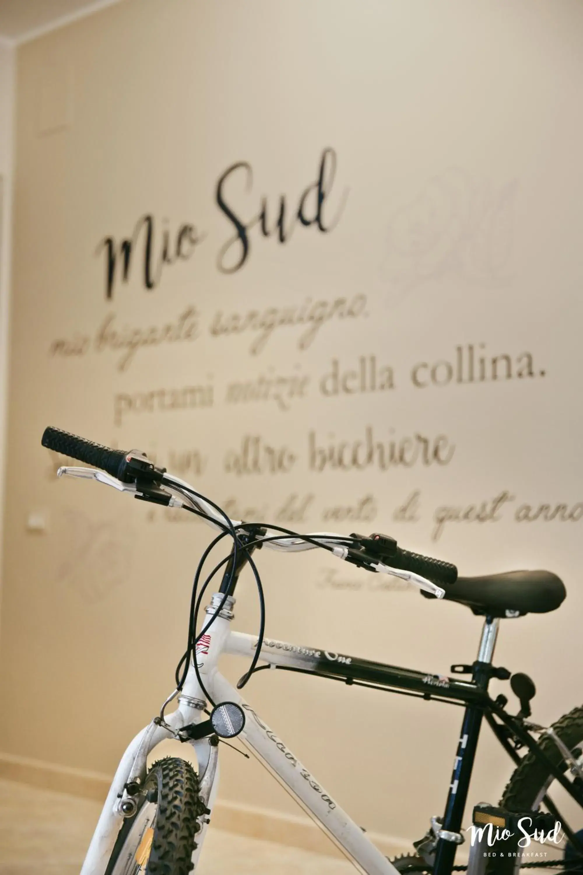 Mio Sud Mio Sud
