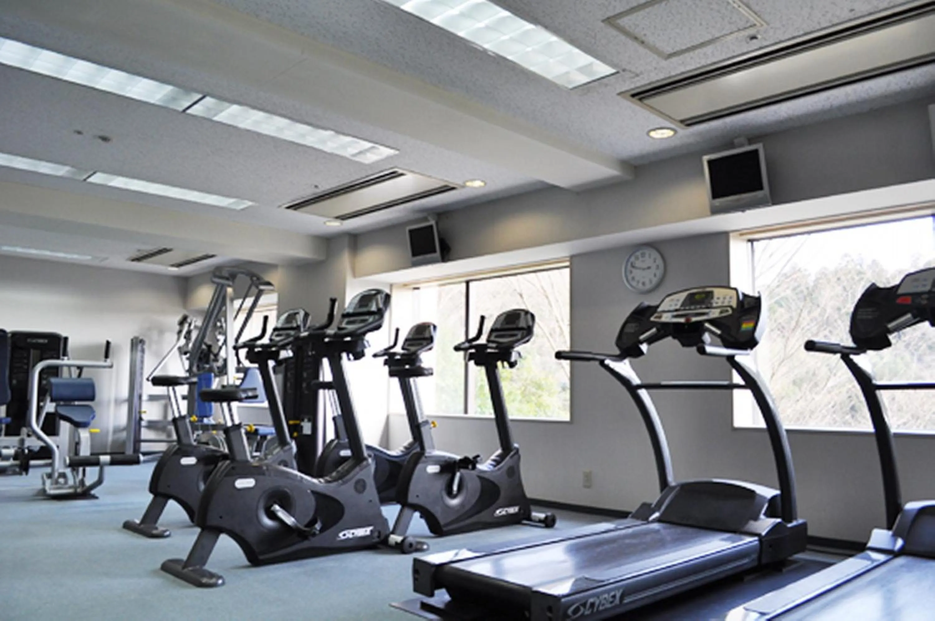 Fitness centre/facilities in International Garden Hotel Narita