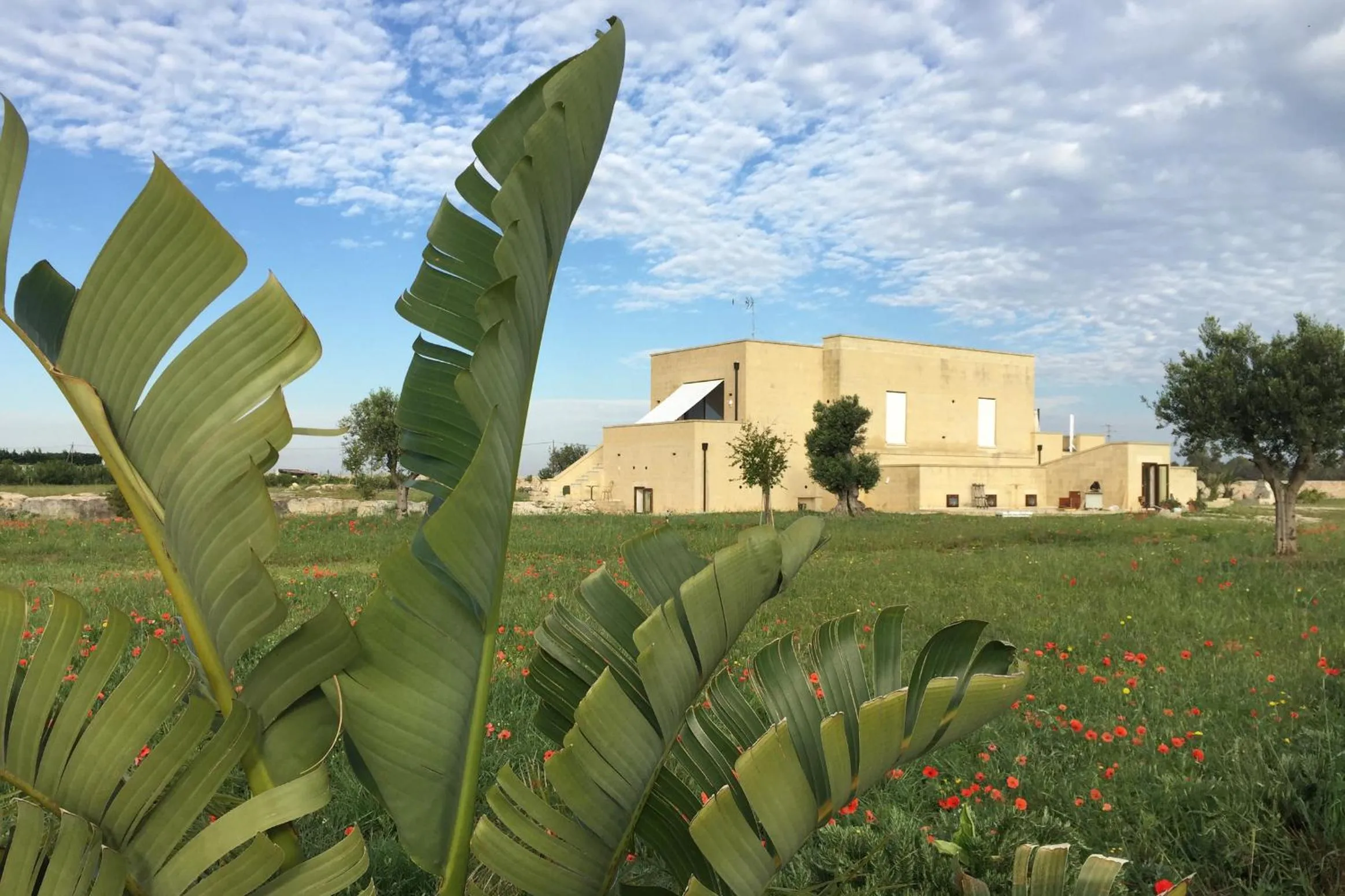 Property building in Masseria Gelsi
