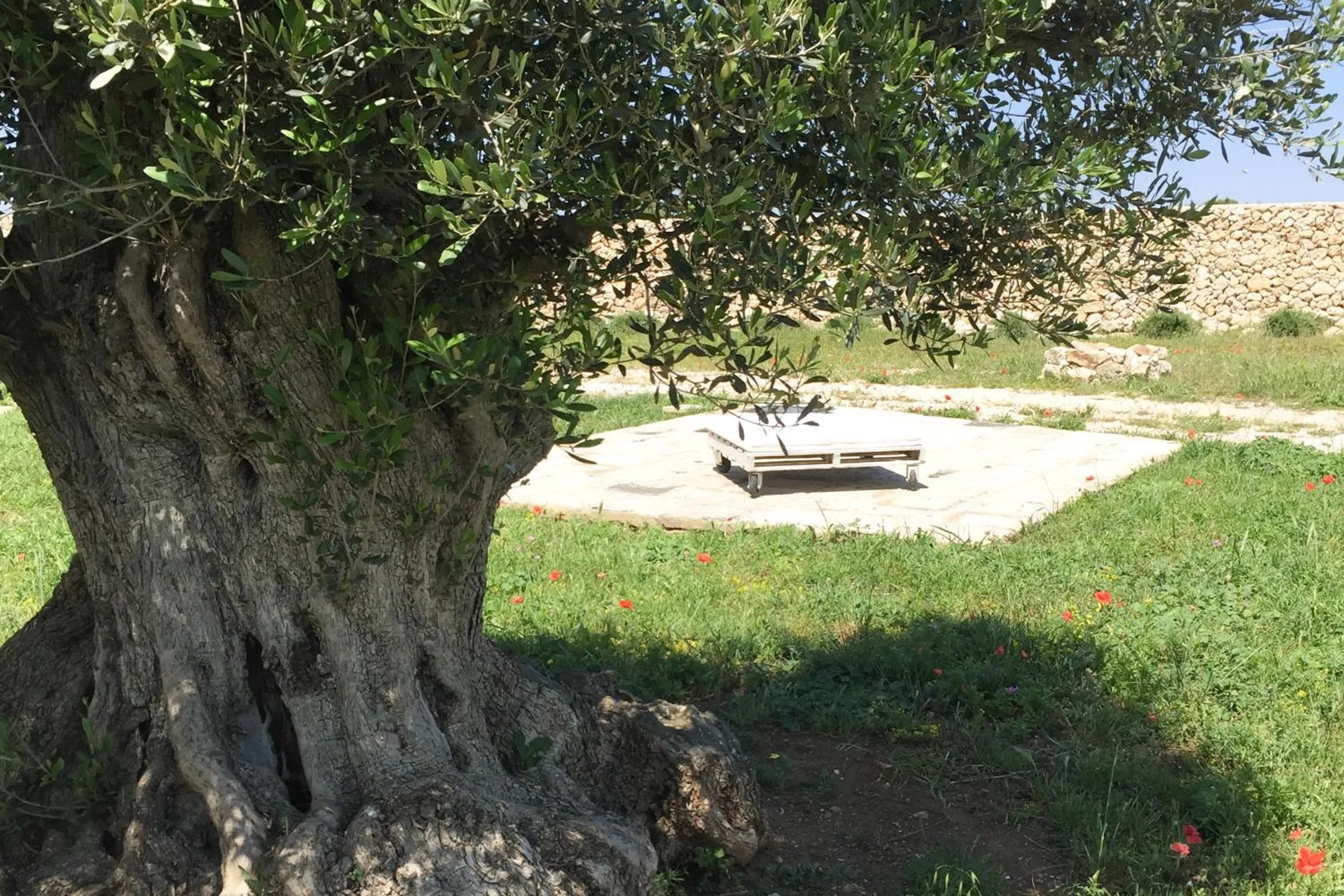 Patio in Masseria Gelsi