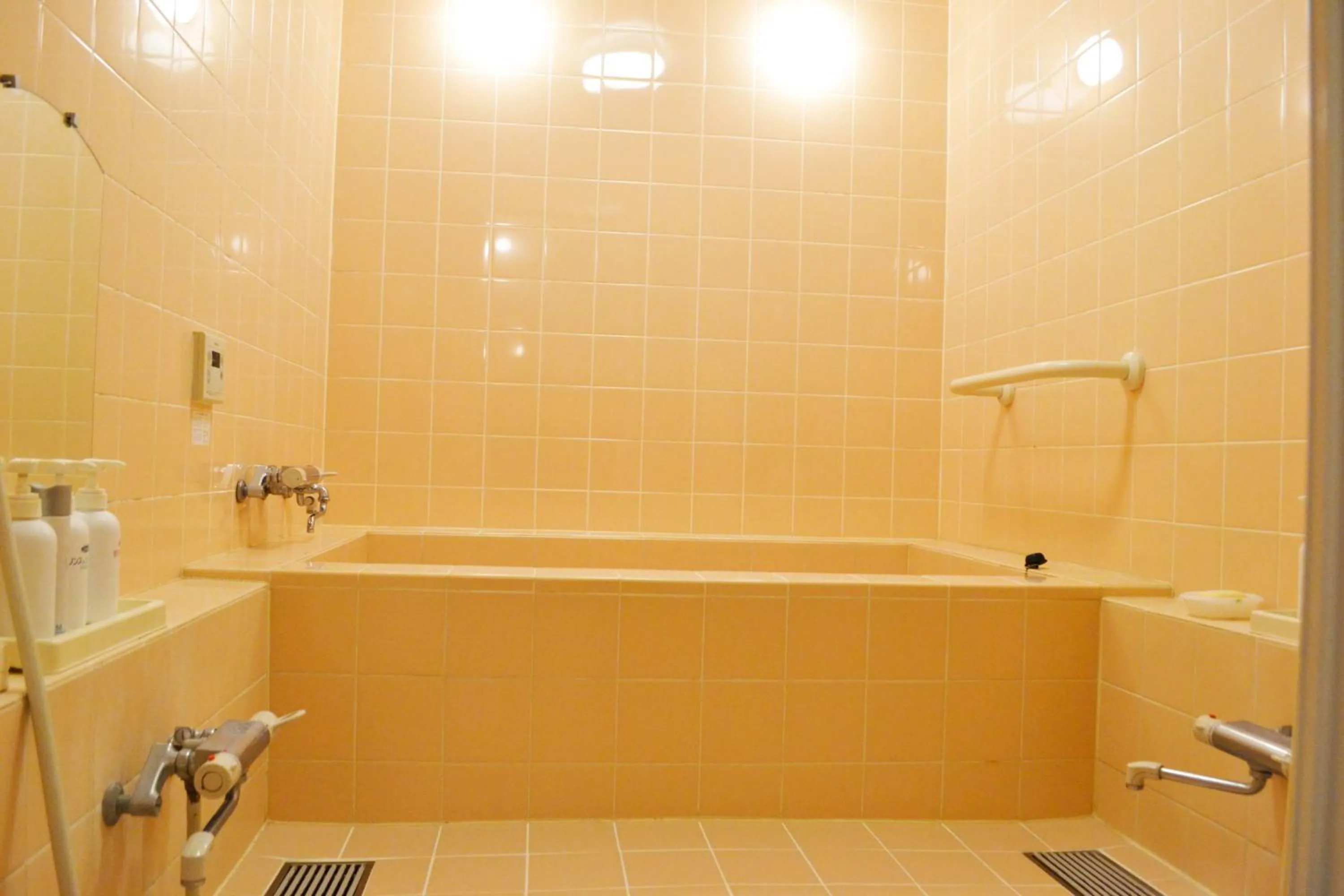 Public Bath in Ryokan Matsumuraya