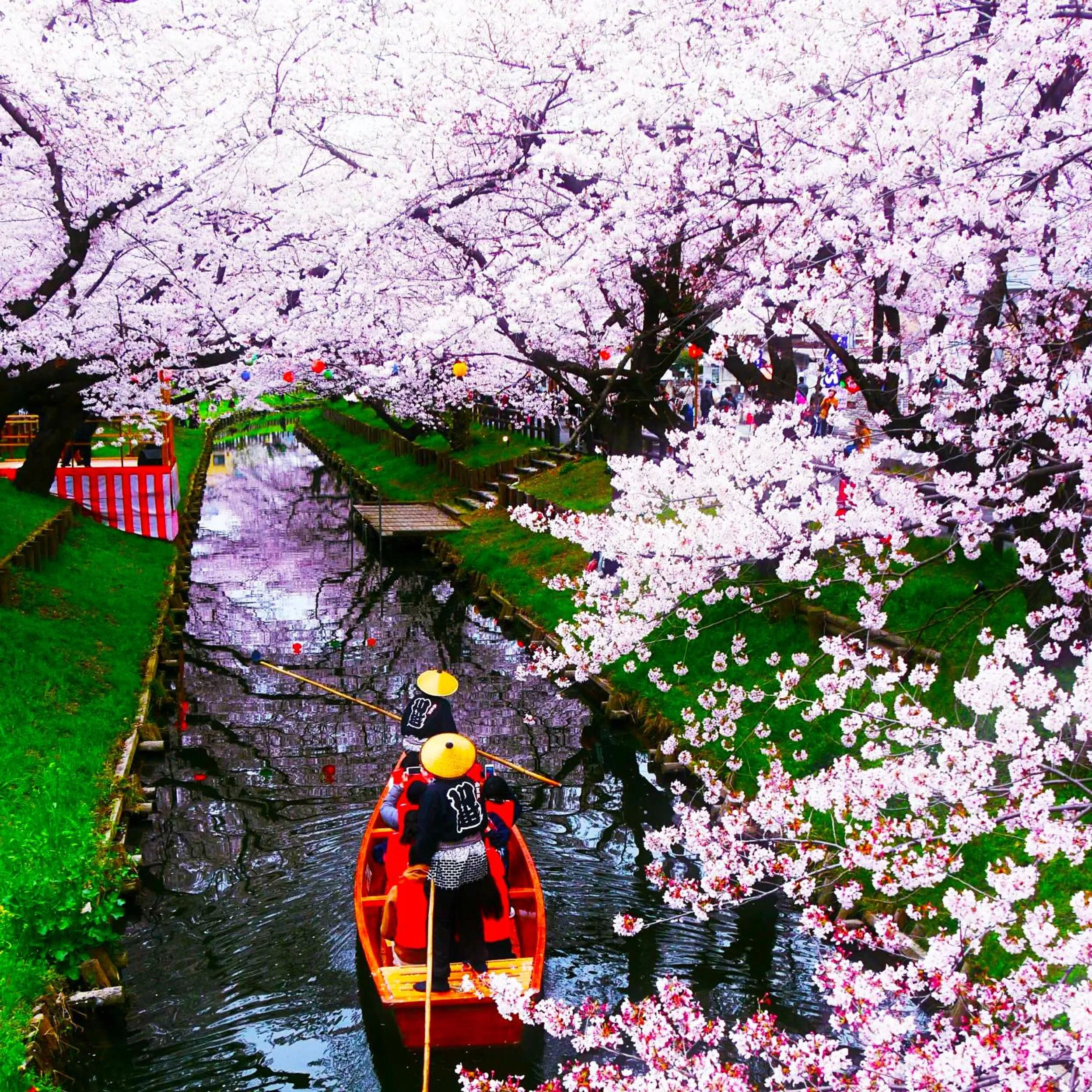 Seasons in Ryokan Matsumuraya