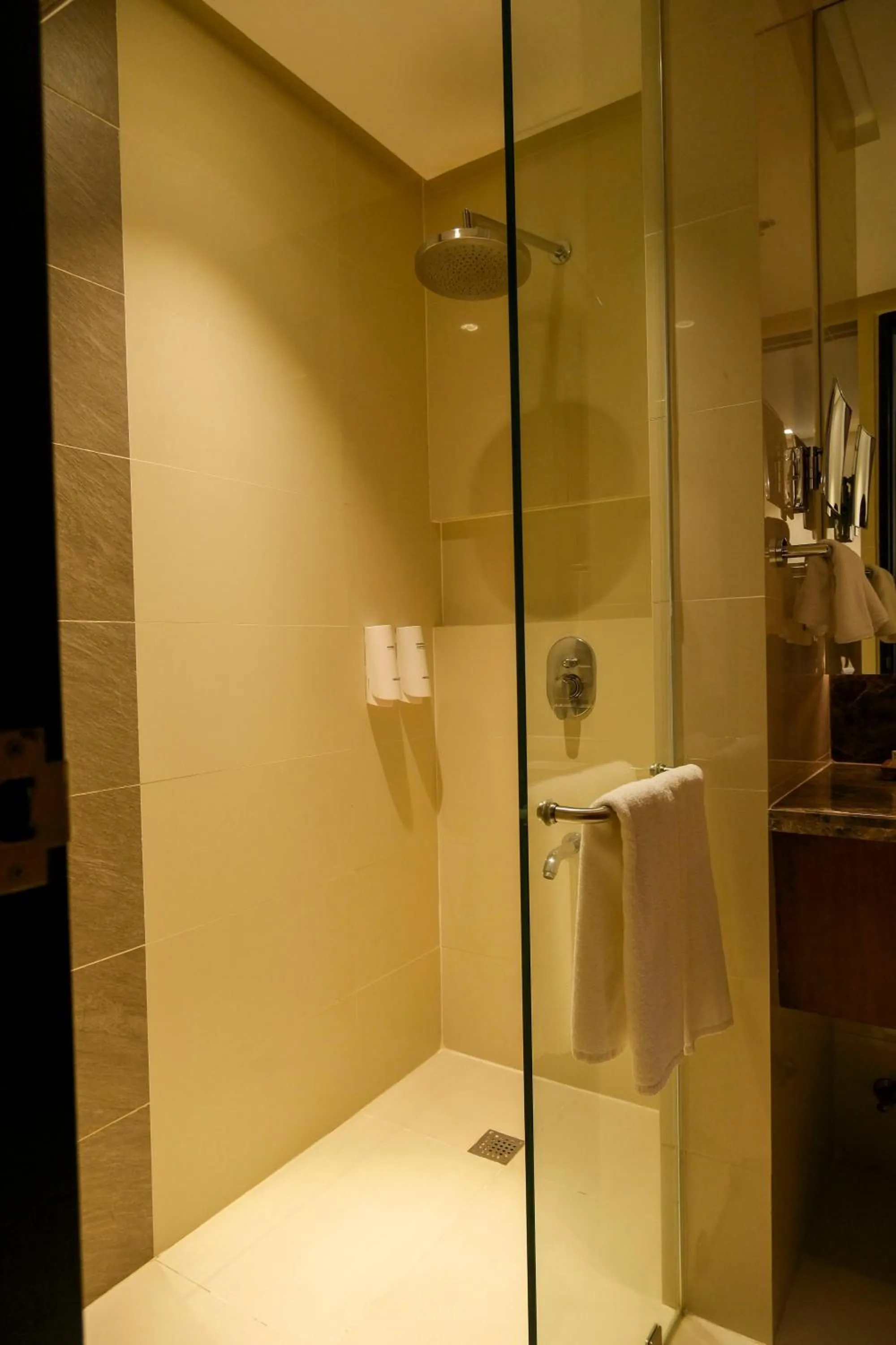 Shower in Best Western Plus The Ivywall Hotel - Palawan