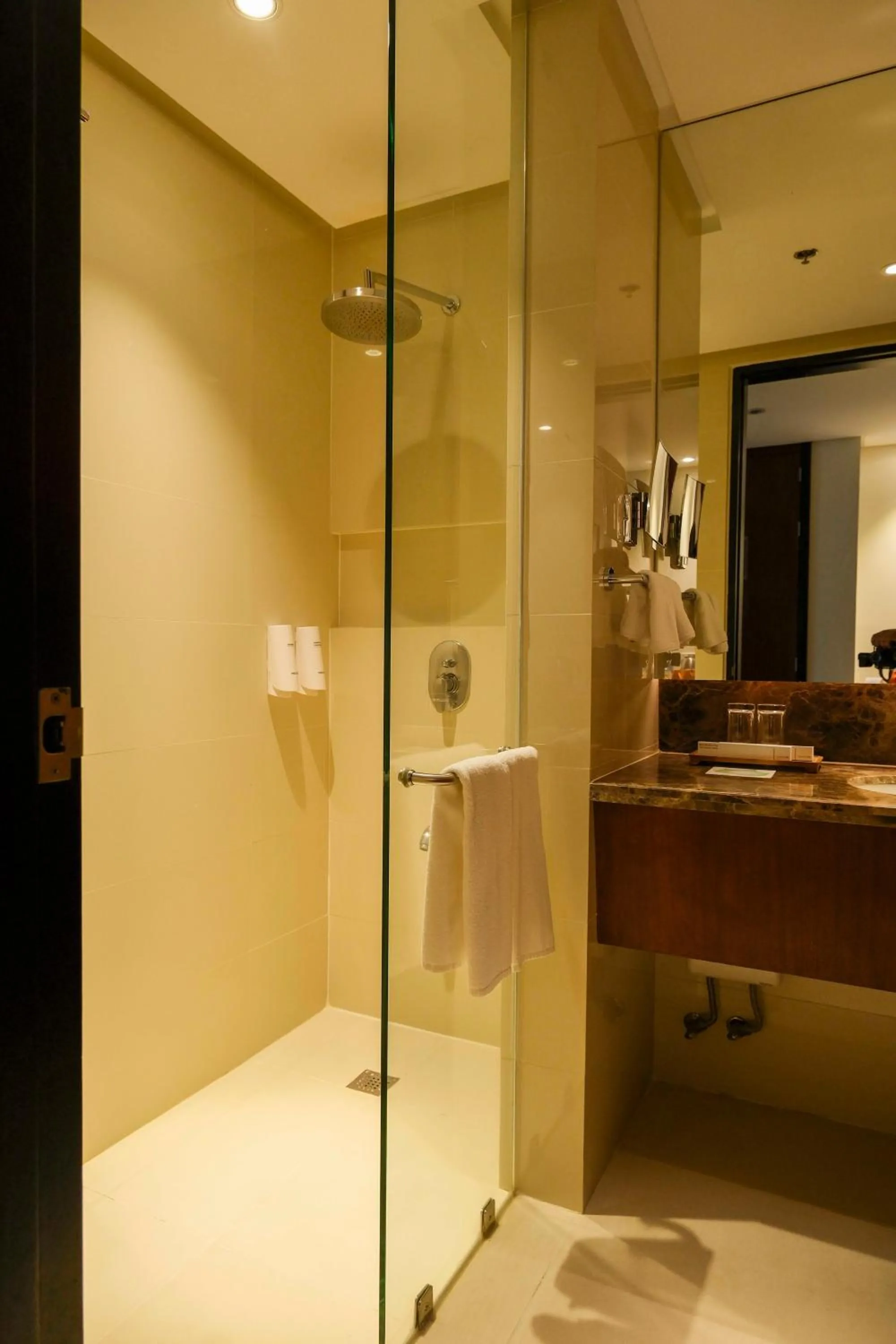 Bathroom in Best Western Plus The Ivywall Hotel - Palawan