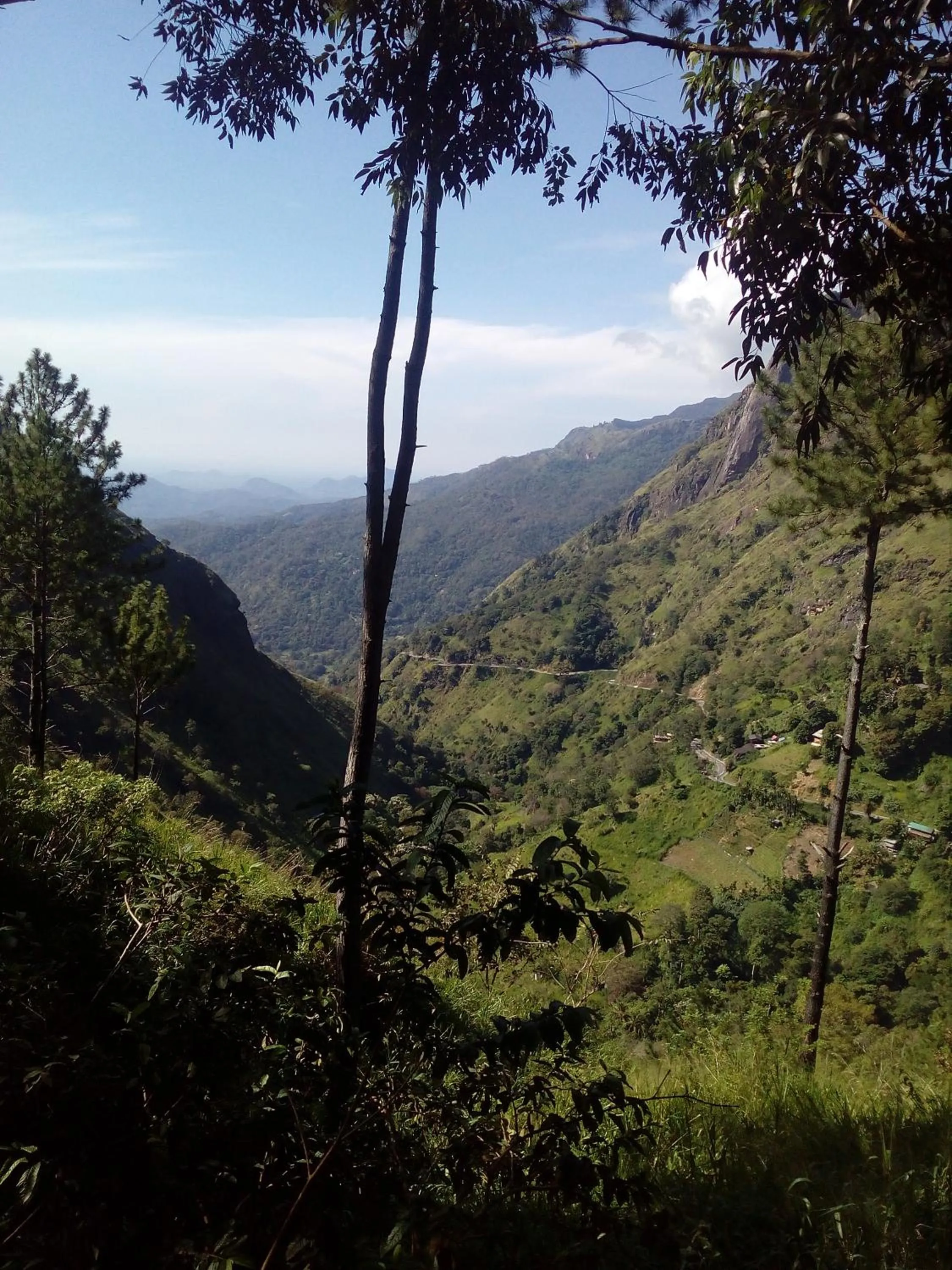 Natural landscape in Hidden Gem Inn