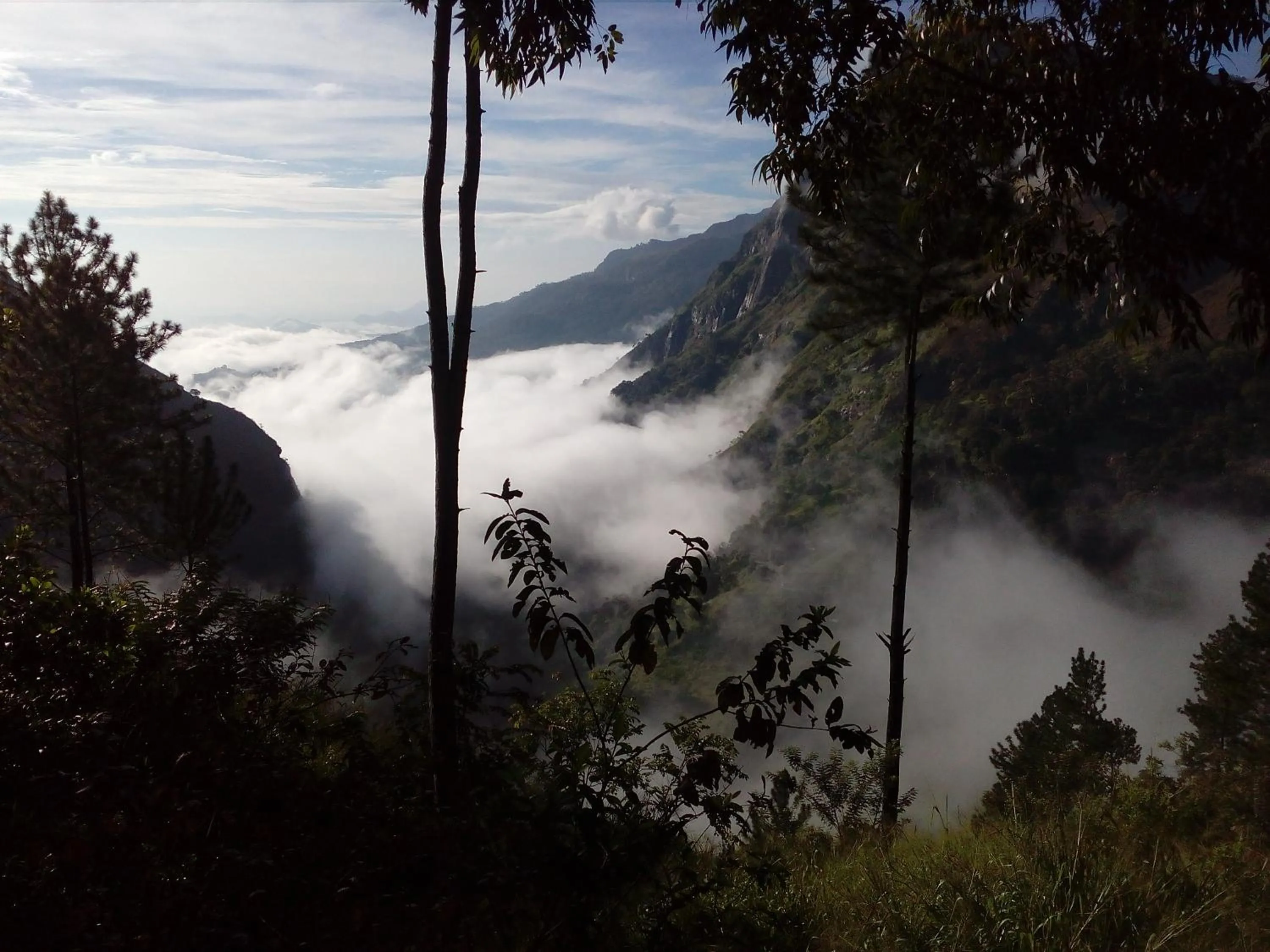 Natural landscape in Hidden Gem Inn