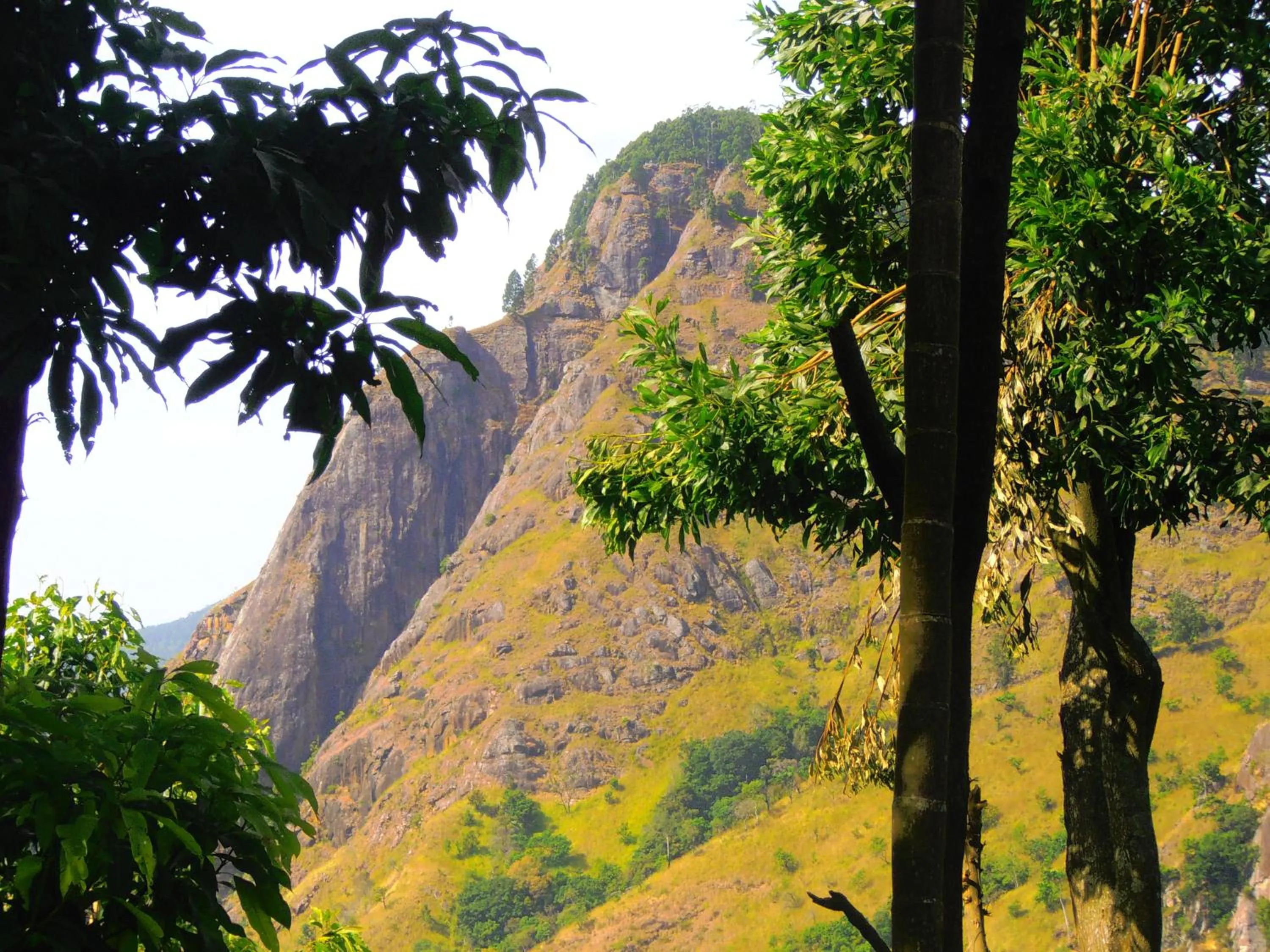 Landmark view in Hidden Gem Inn