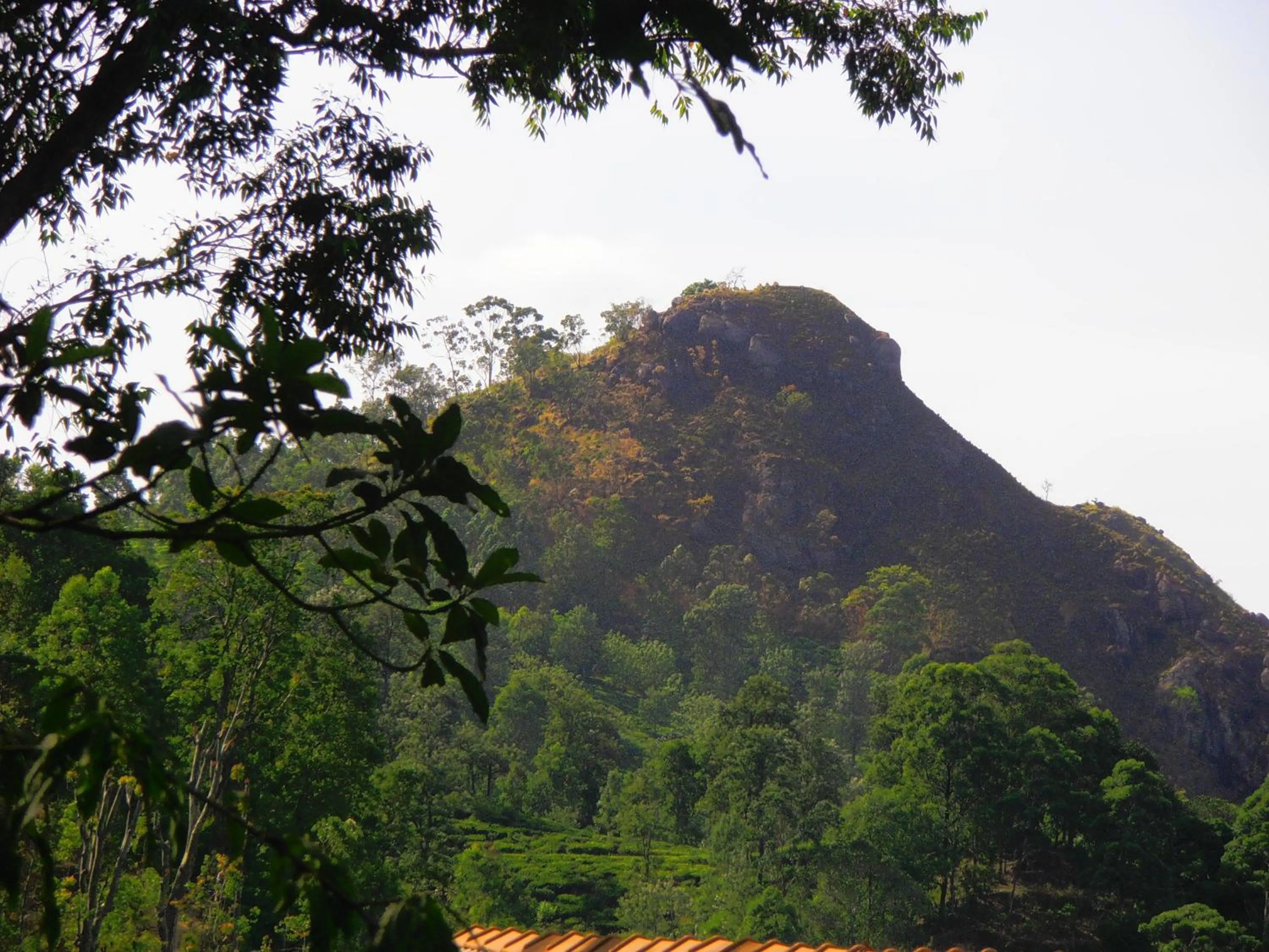 Landmark view in Hidden Gem Inn