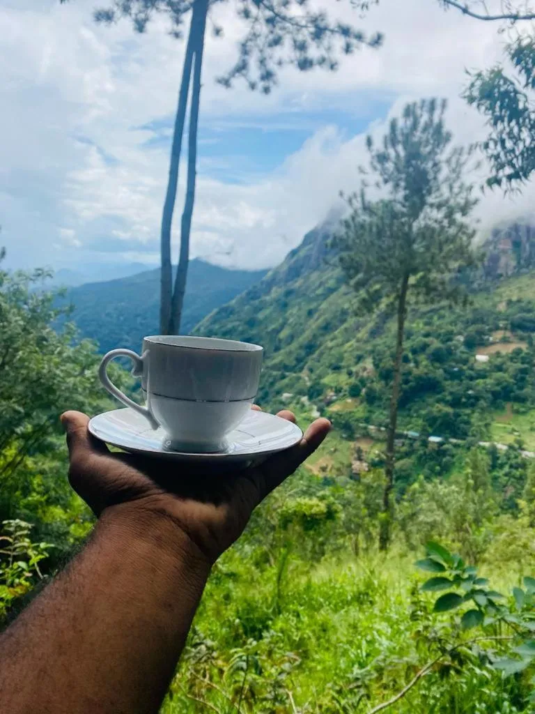 Mountain view in Hidden Gem Inn