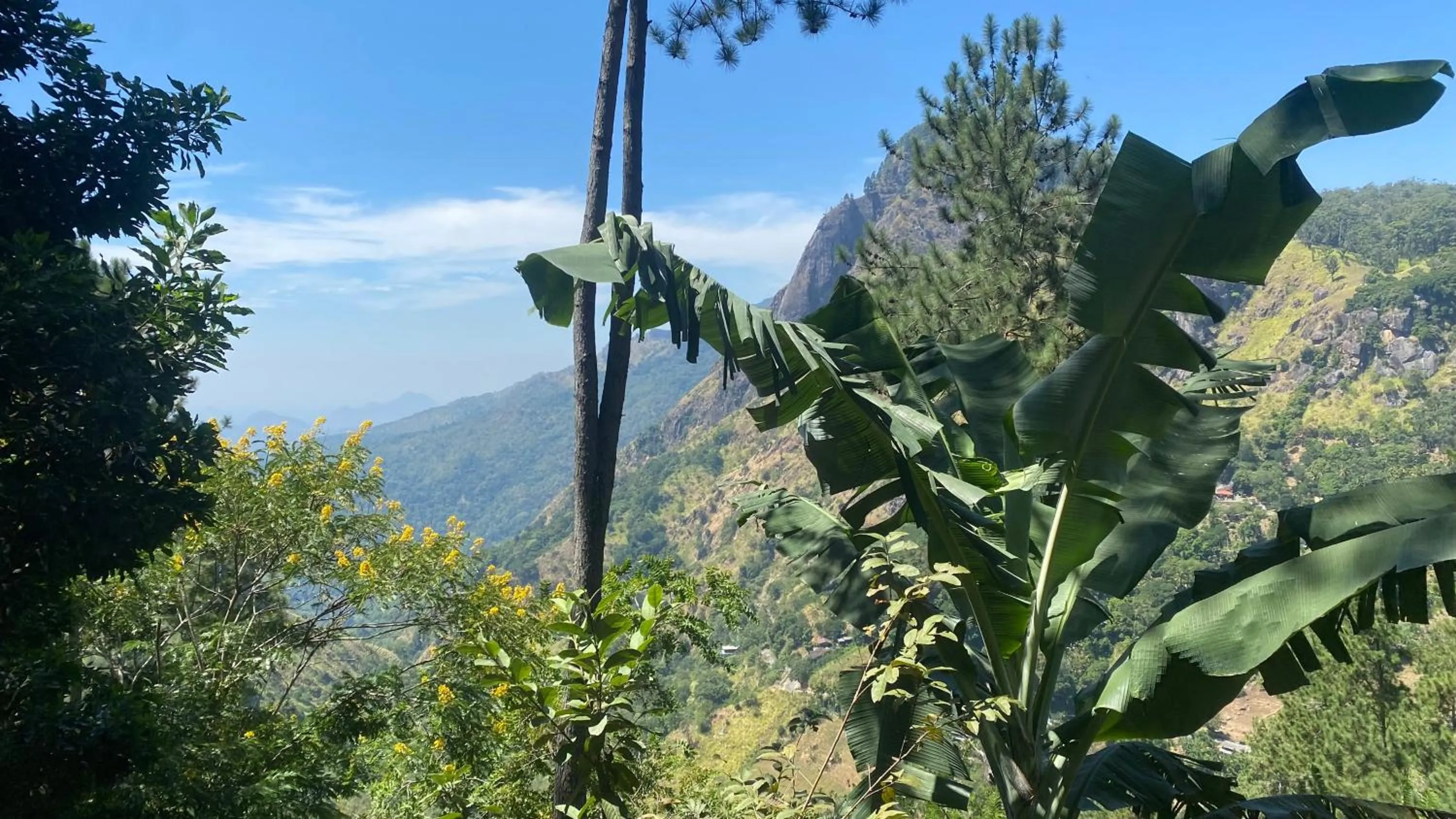 Mountain view in Hidden Gem Inn