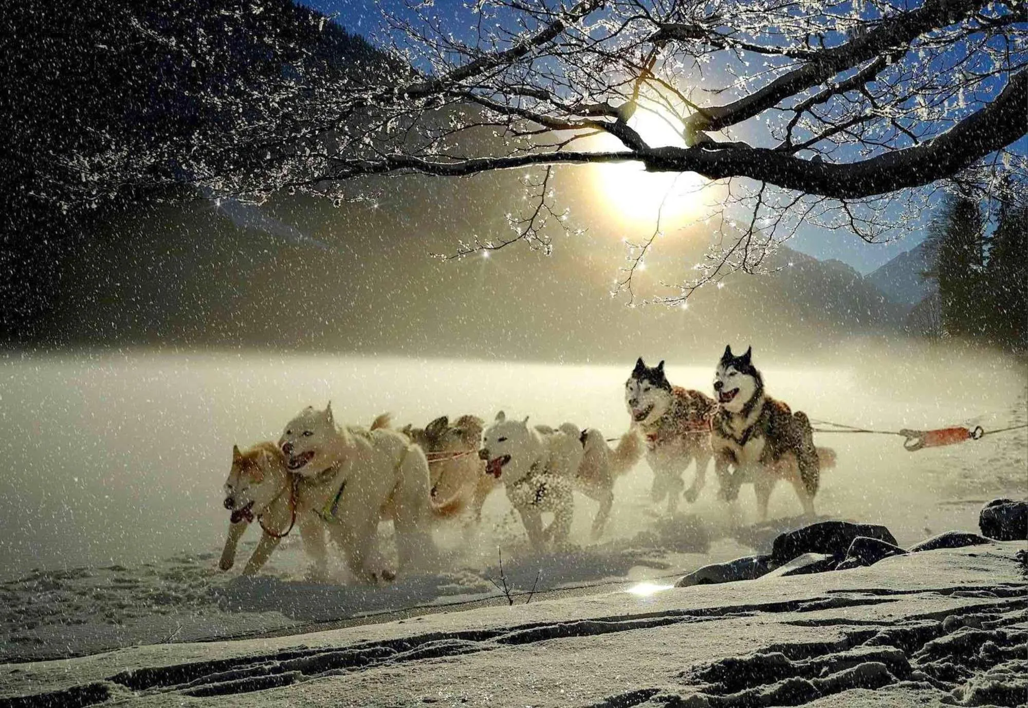 Sports in DV Chalet Boutique Hotel & Spa