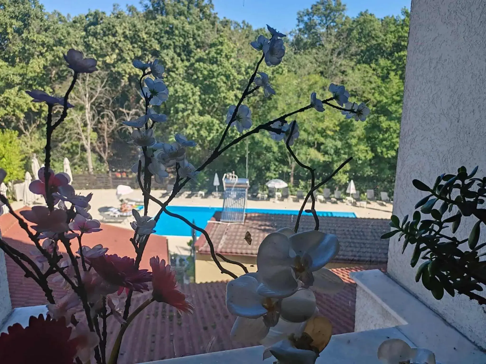 Swimming pool in Anthimos Swimming pool in Anthimos