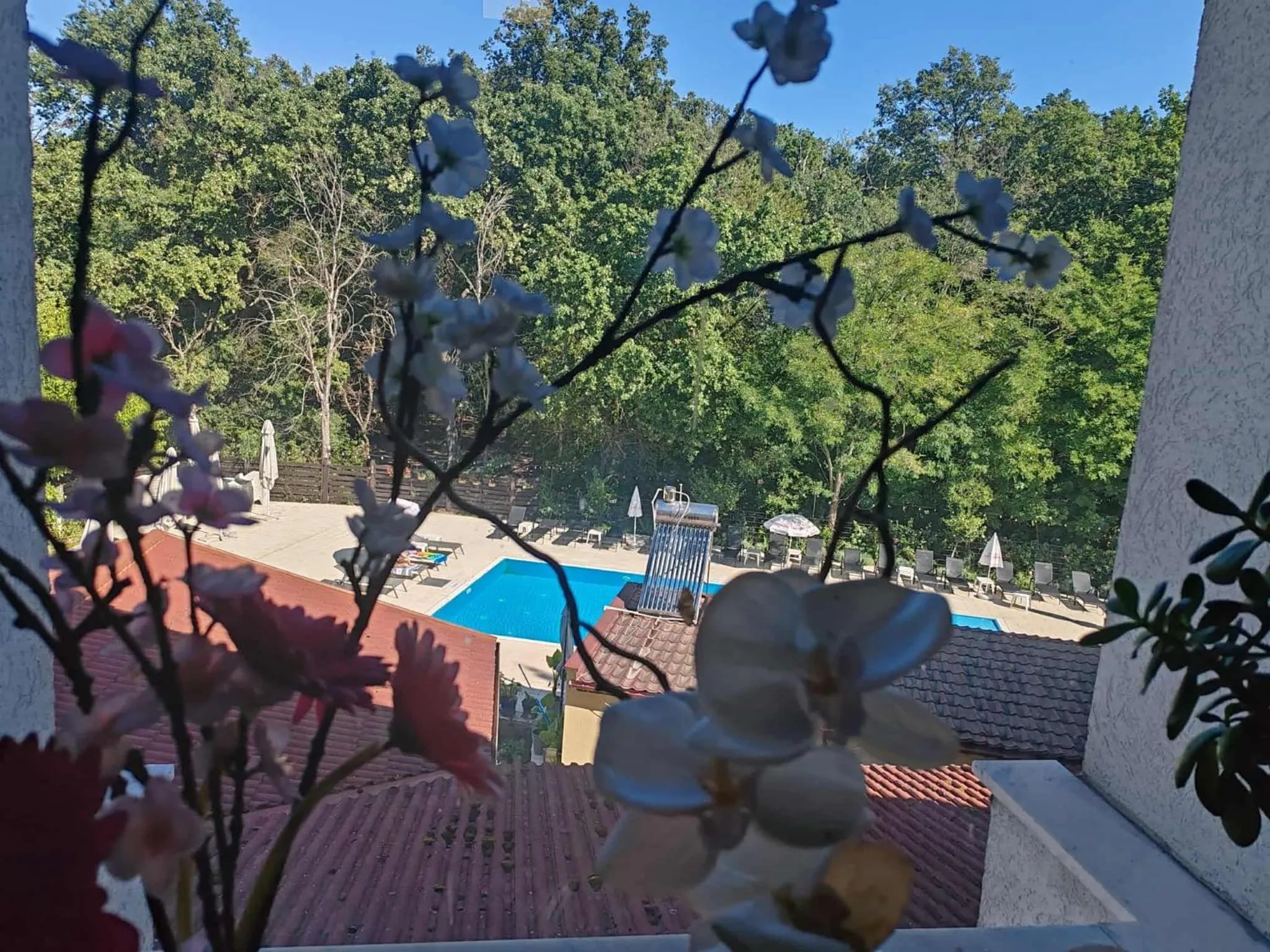 Swimming pool in Anthimos