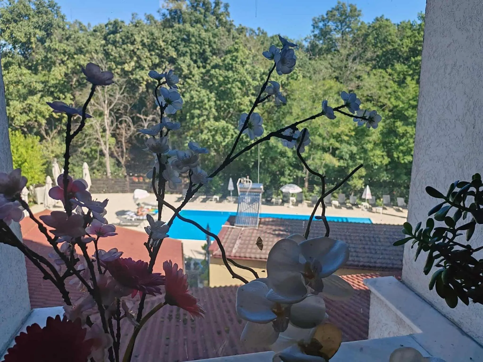 Swimming pool in Anthimos