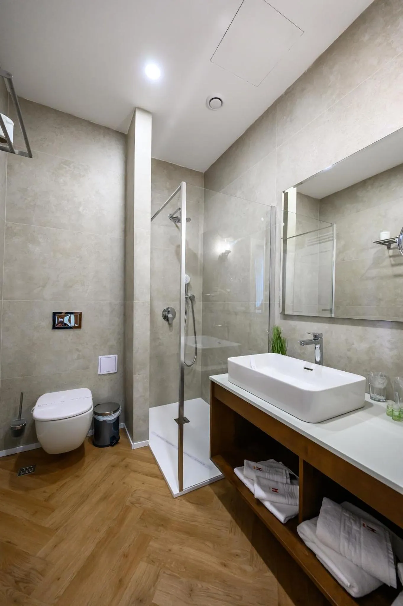 Shower in Hotel Transilvania