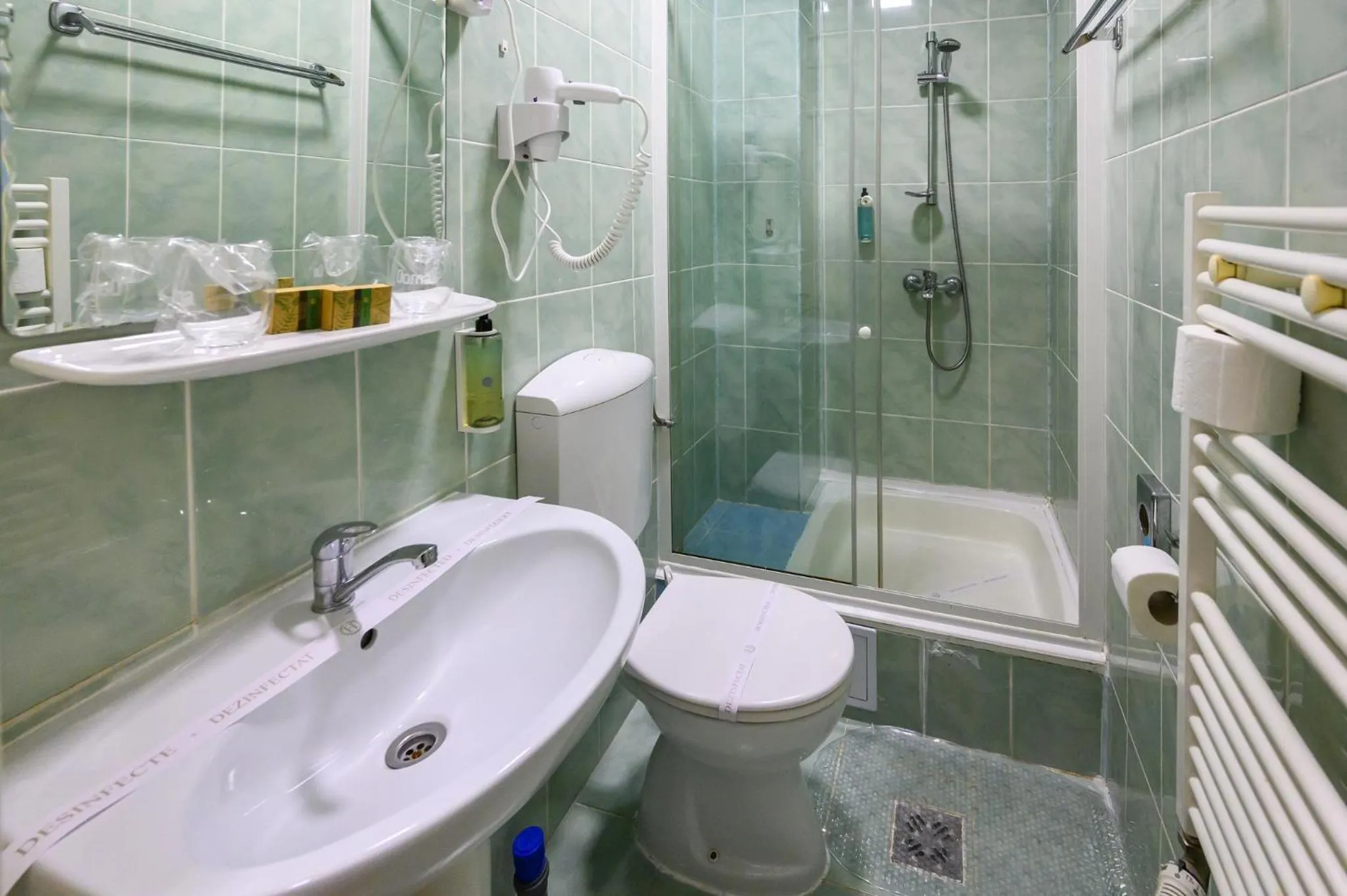 Shower in Hotel Transilvania