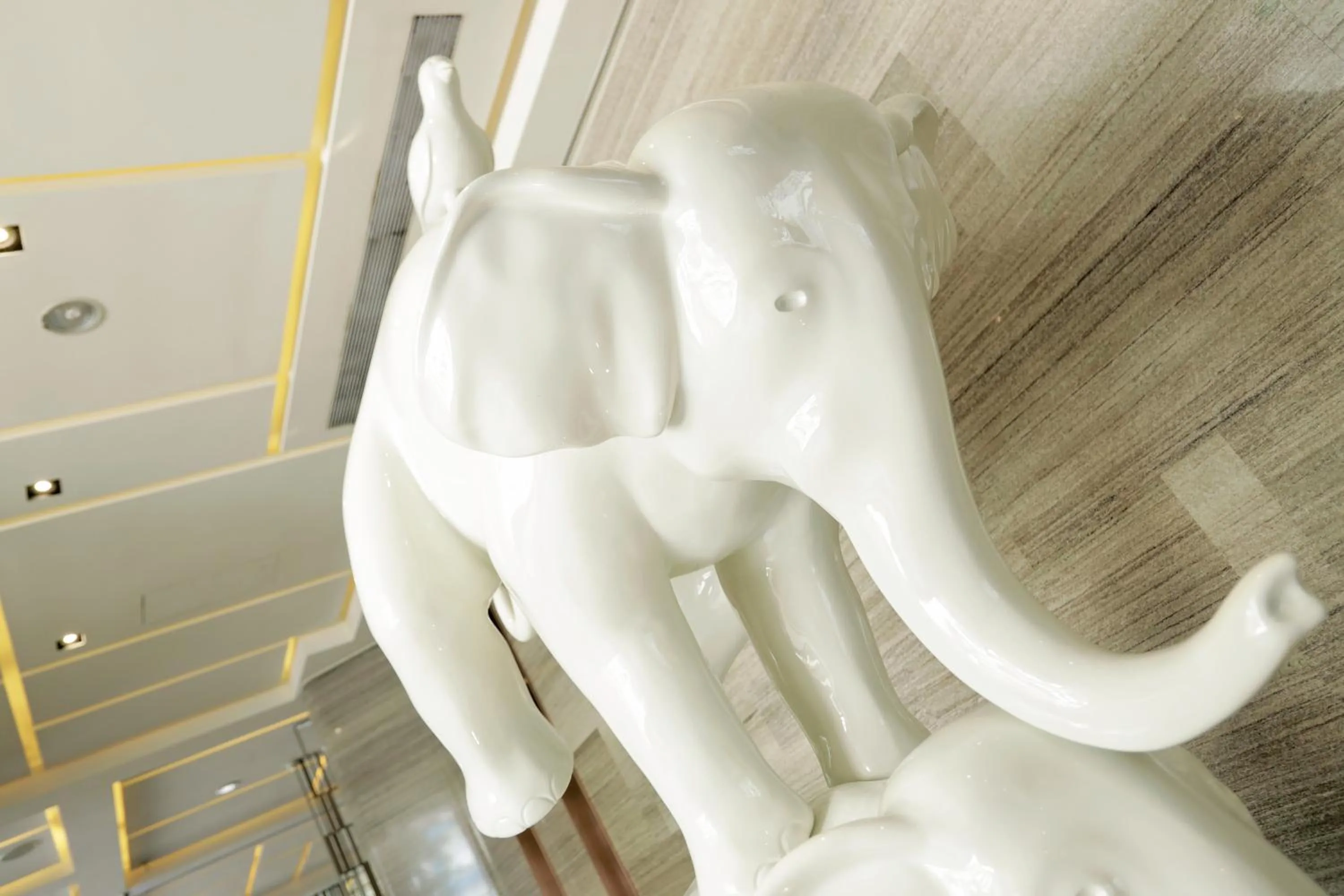 Lobby or reception in Boda Hotel