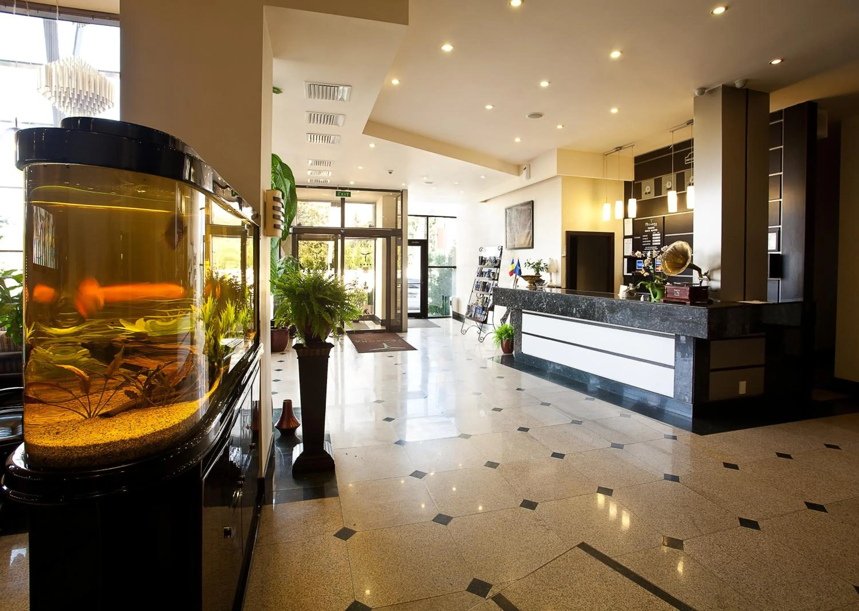 Lounge or bar in Hotel Tecadra