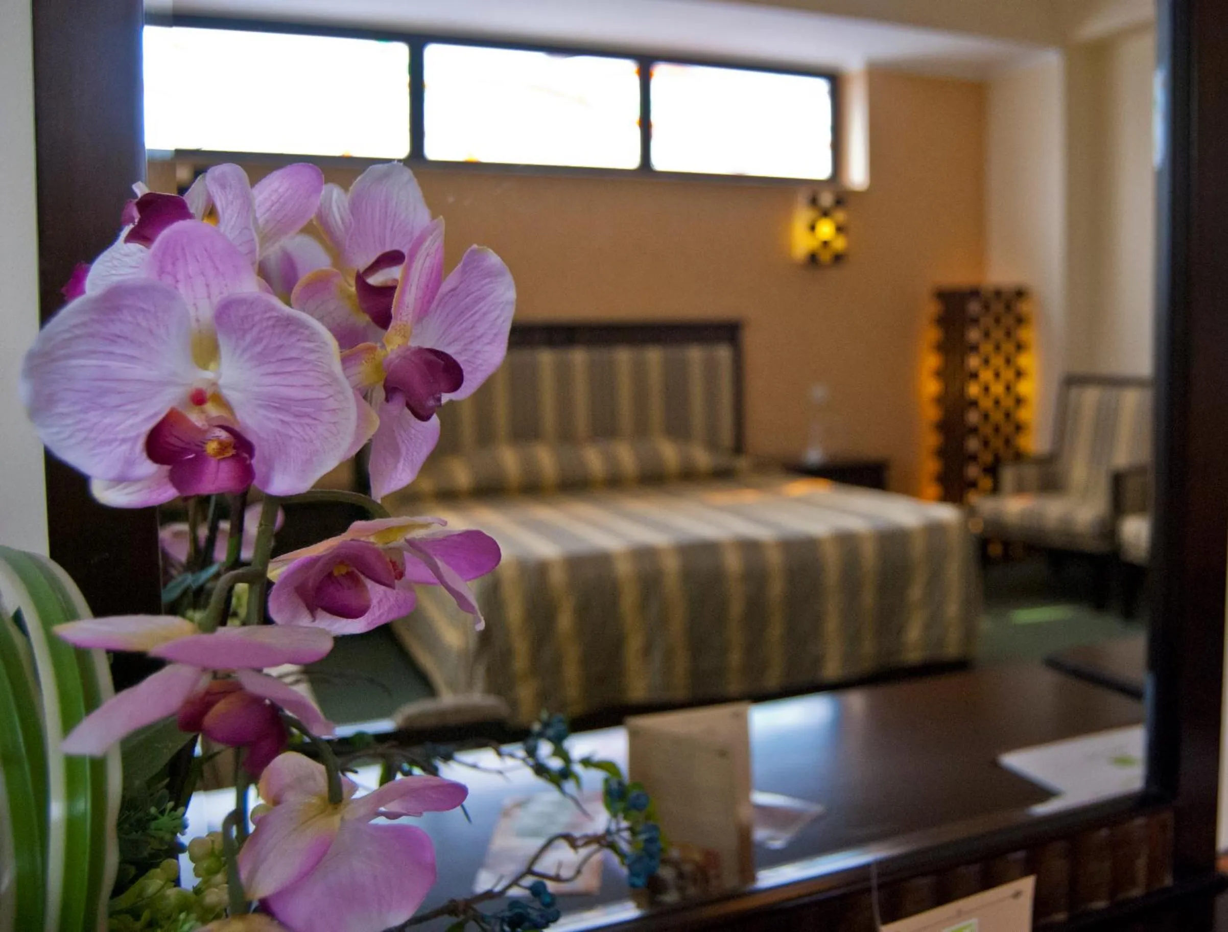 Bed in Hotel Tecadra