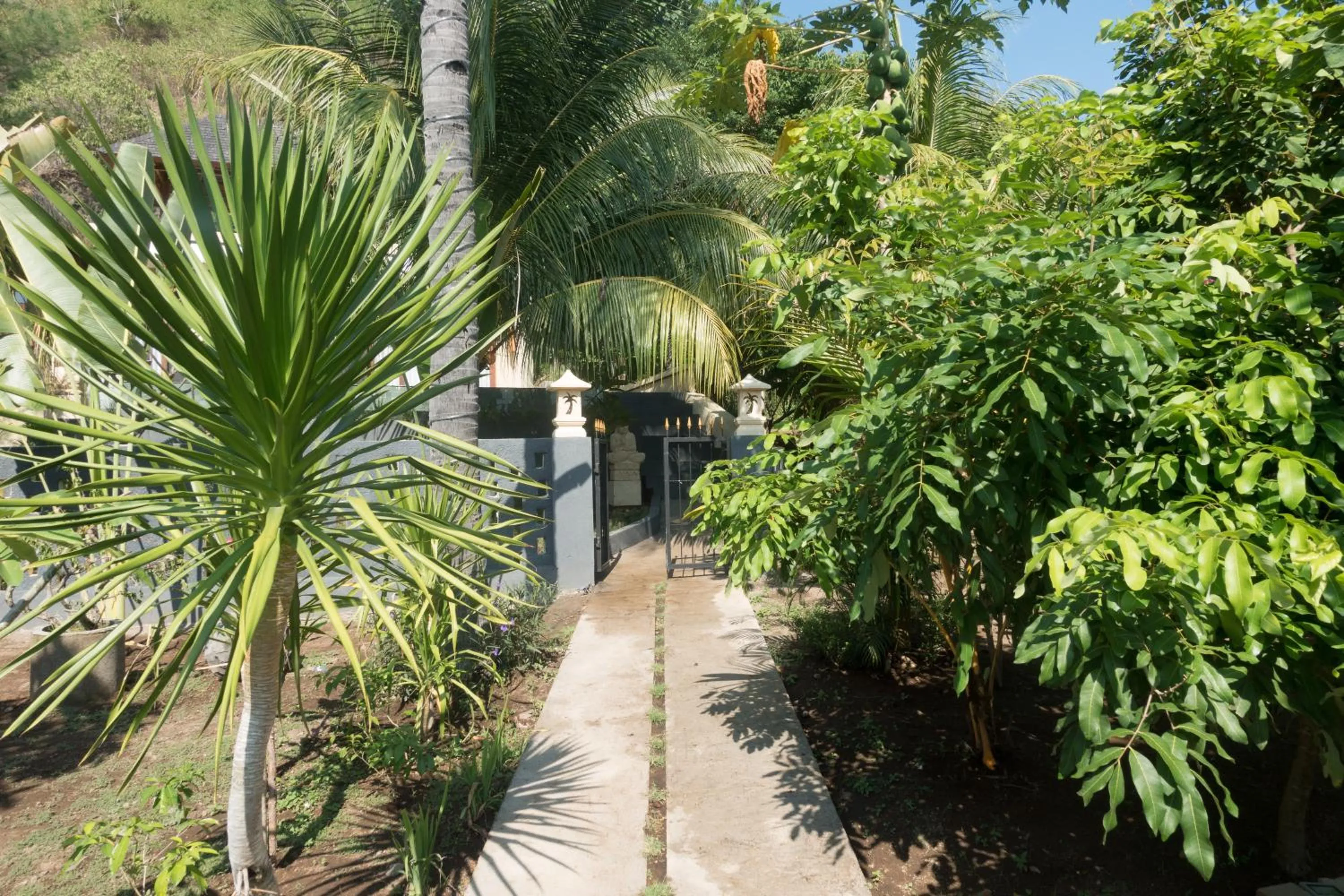 Garden in Nipah Villas