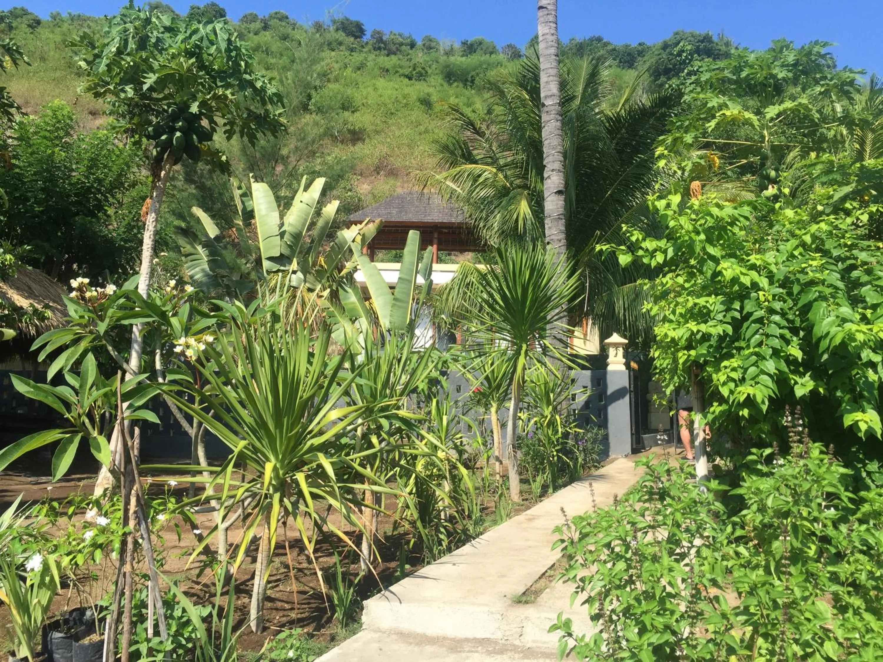Garden in Nipah Villas