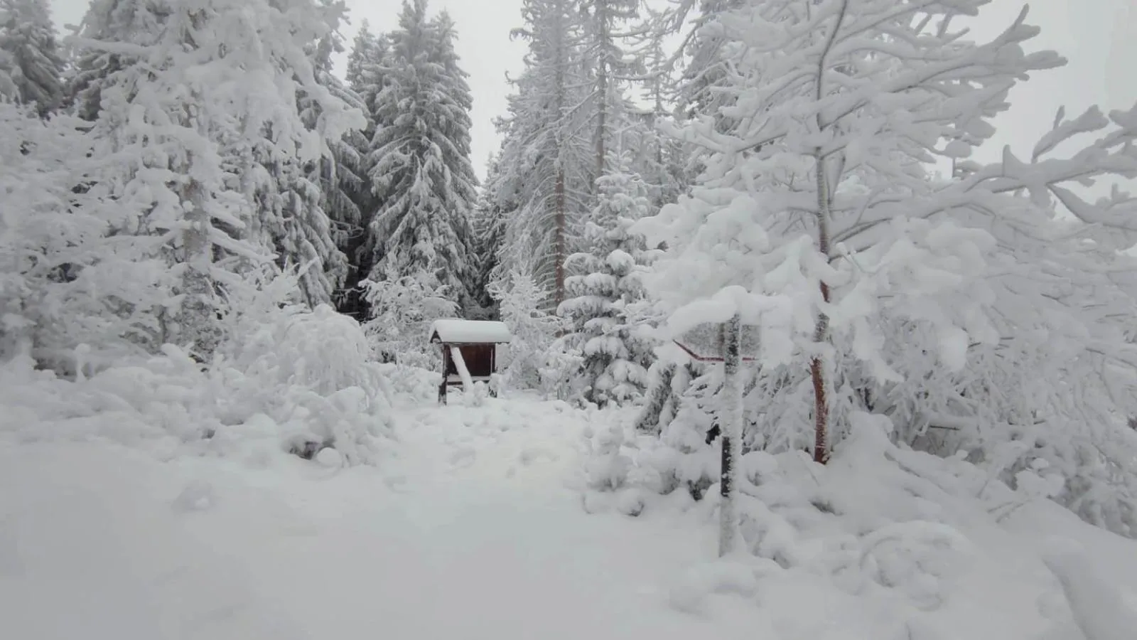 Natural landscape in Casa Dora
