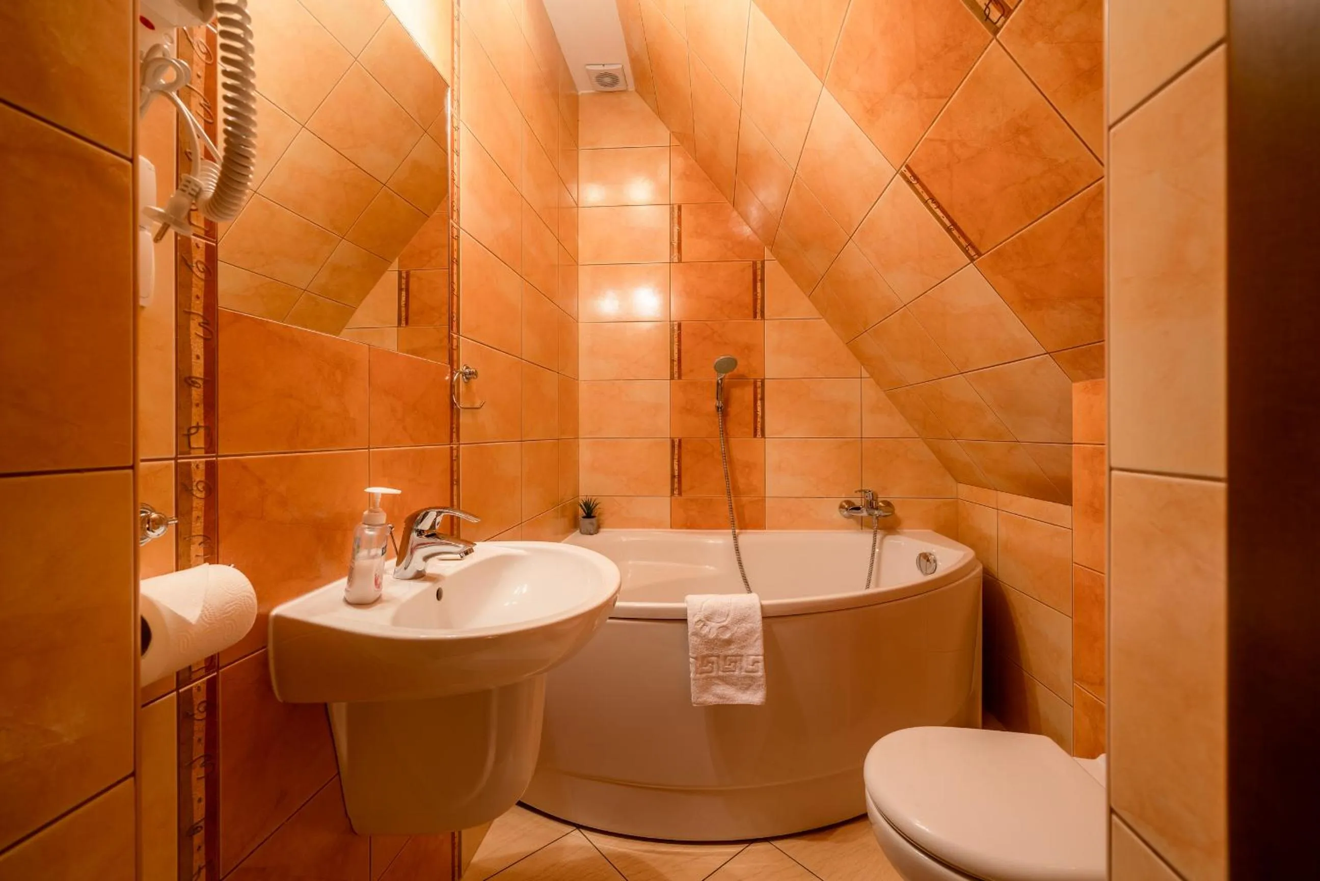 Bathroom in Willa u Zwijaczy