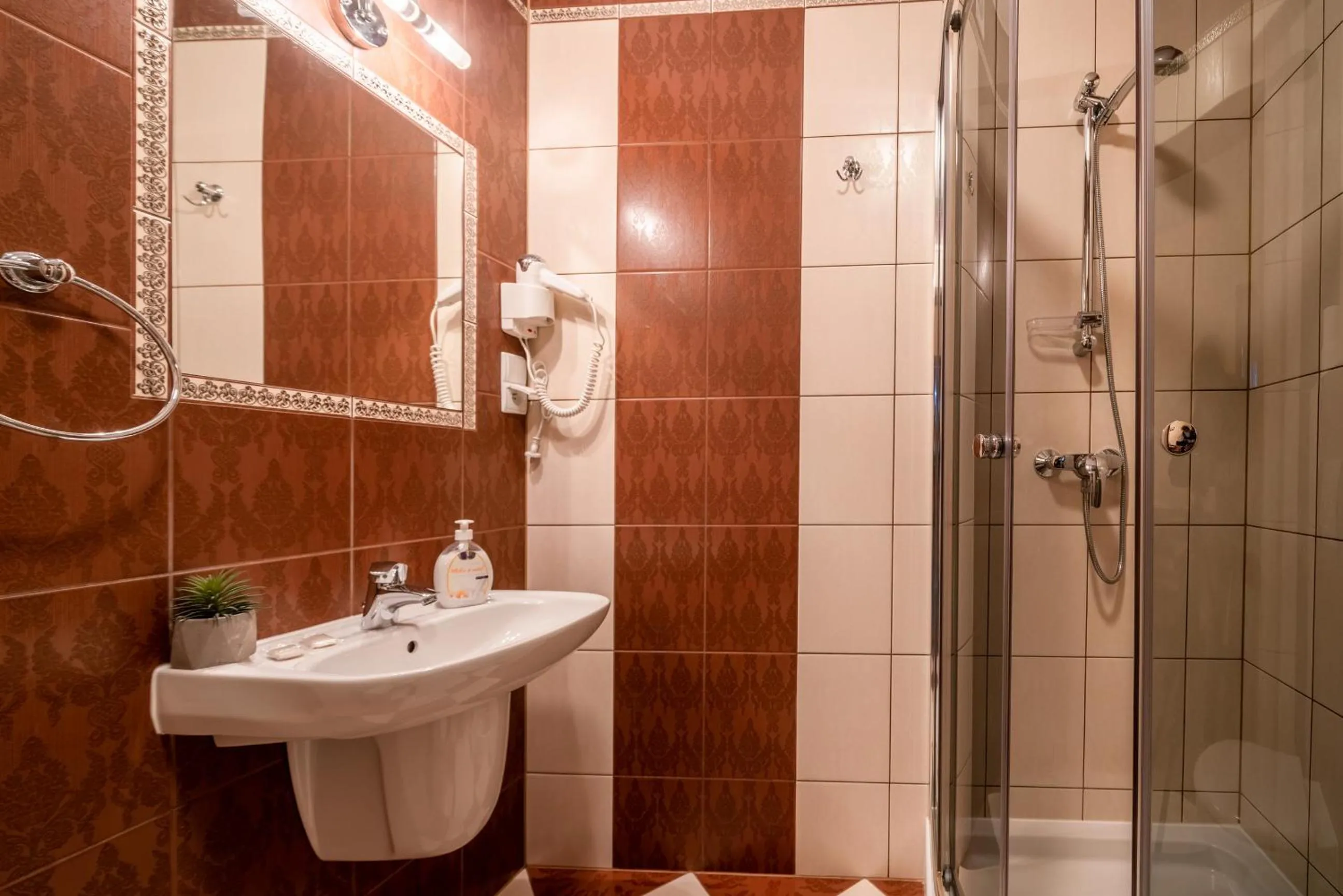 Shower in Willa u Zwijaczy