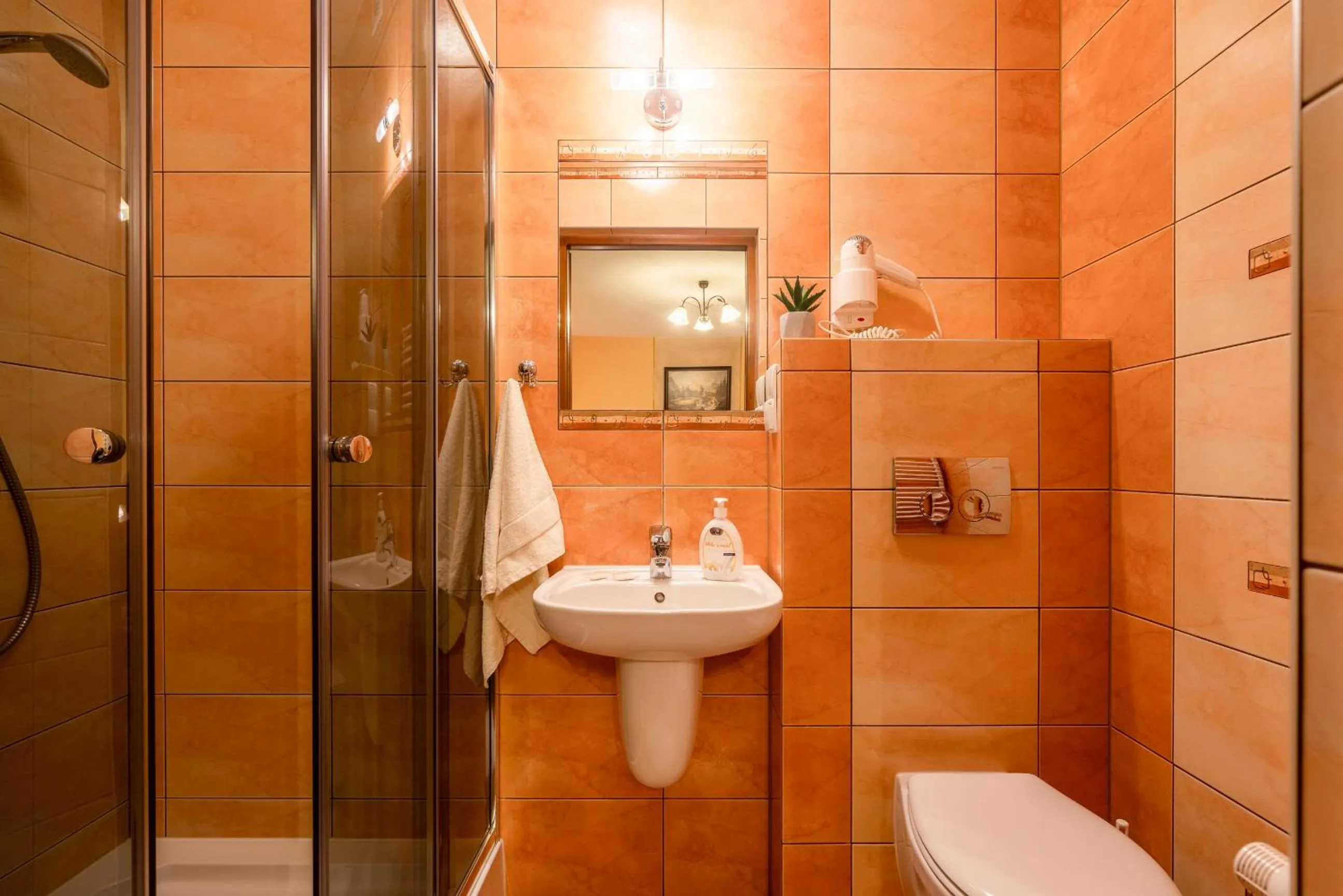 Shower in Willa u Zwijaczy