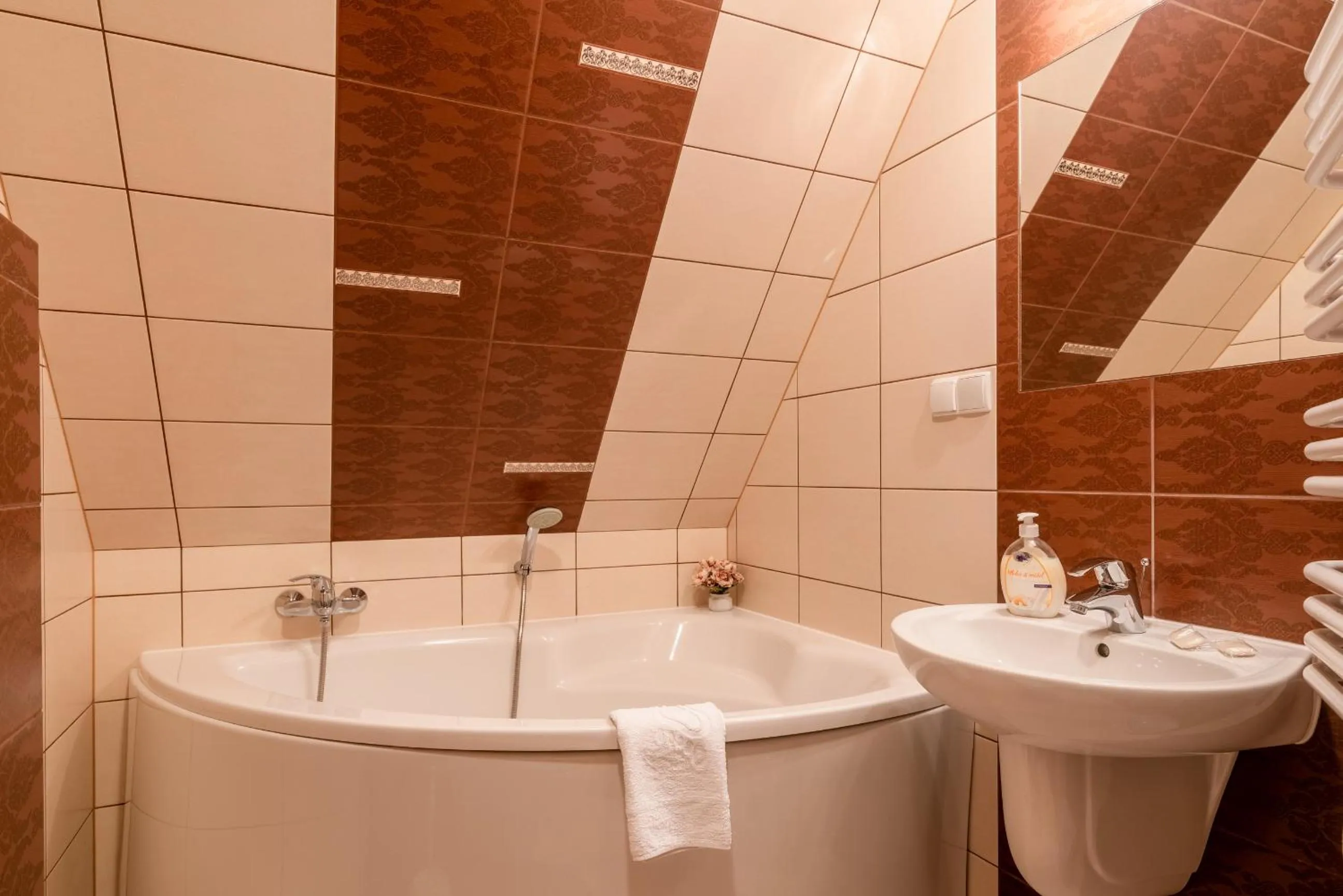 Shower in Willa u Zwijaczy