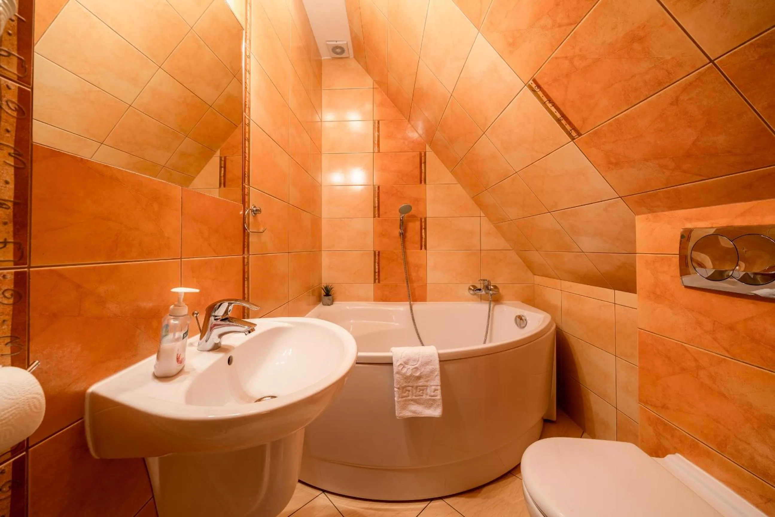 Shower in Willa u Zwijaczy