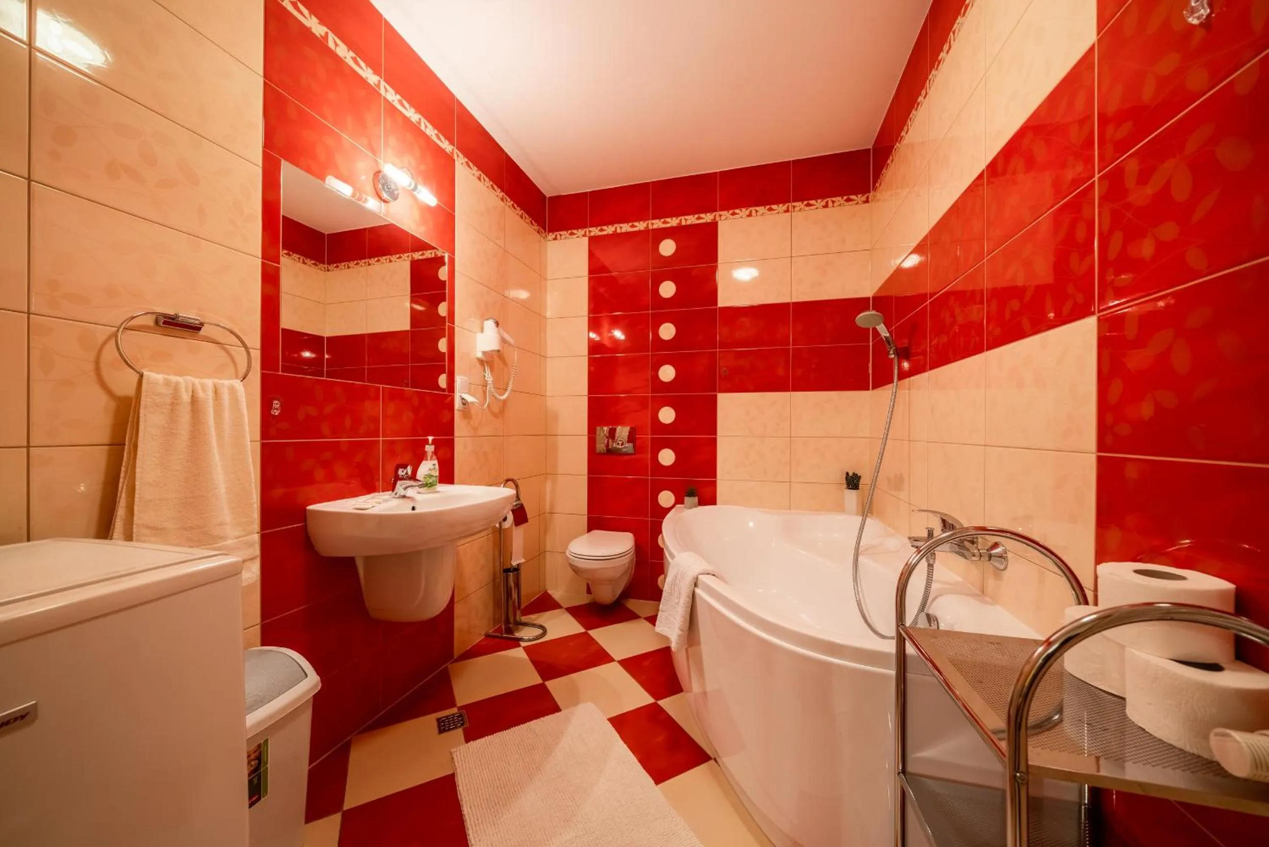 Bathroom in Willa u Zwijaczy