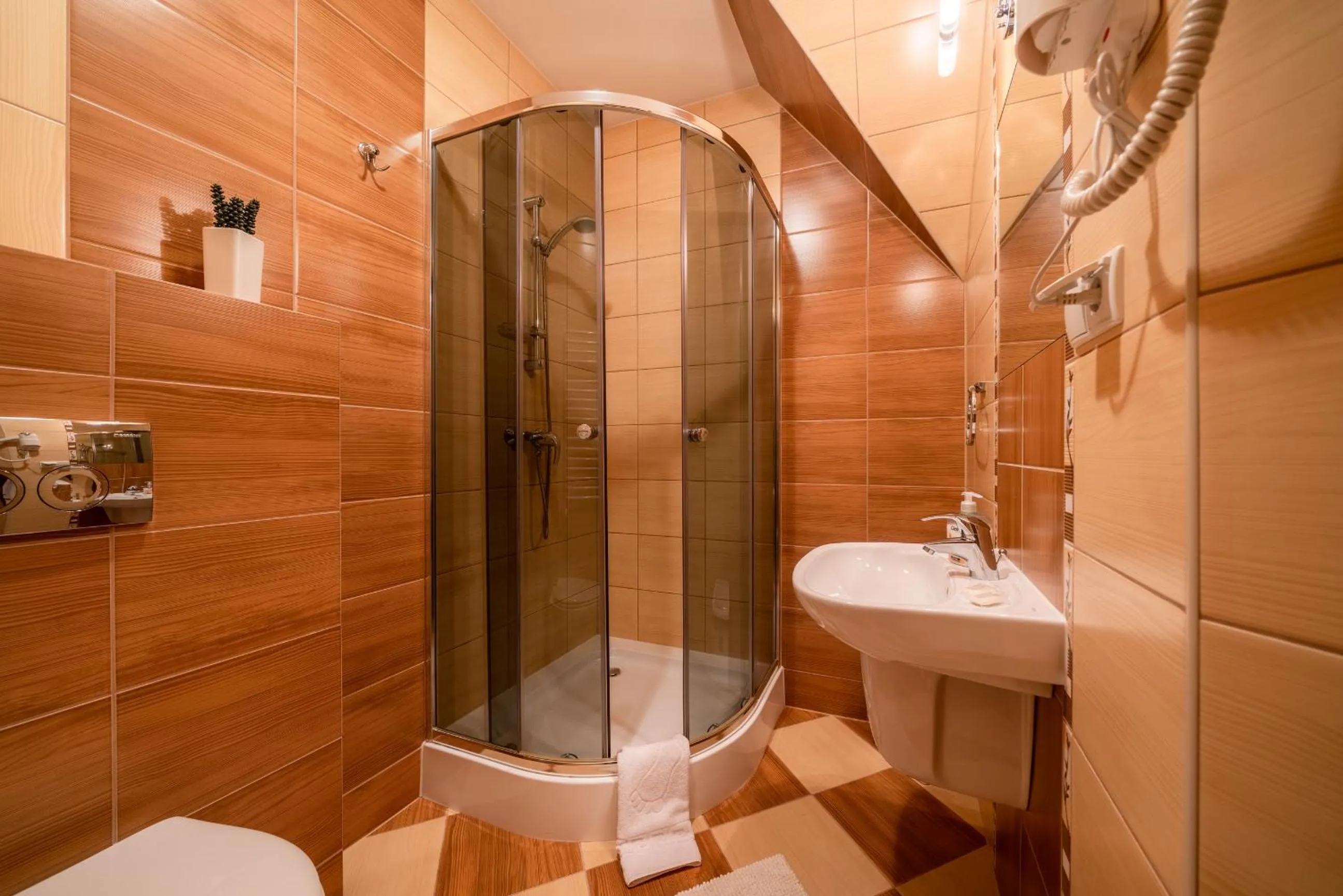 Shower in Willa u Zwijaczy