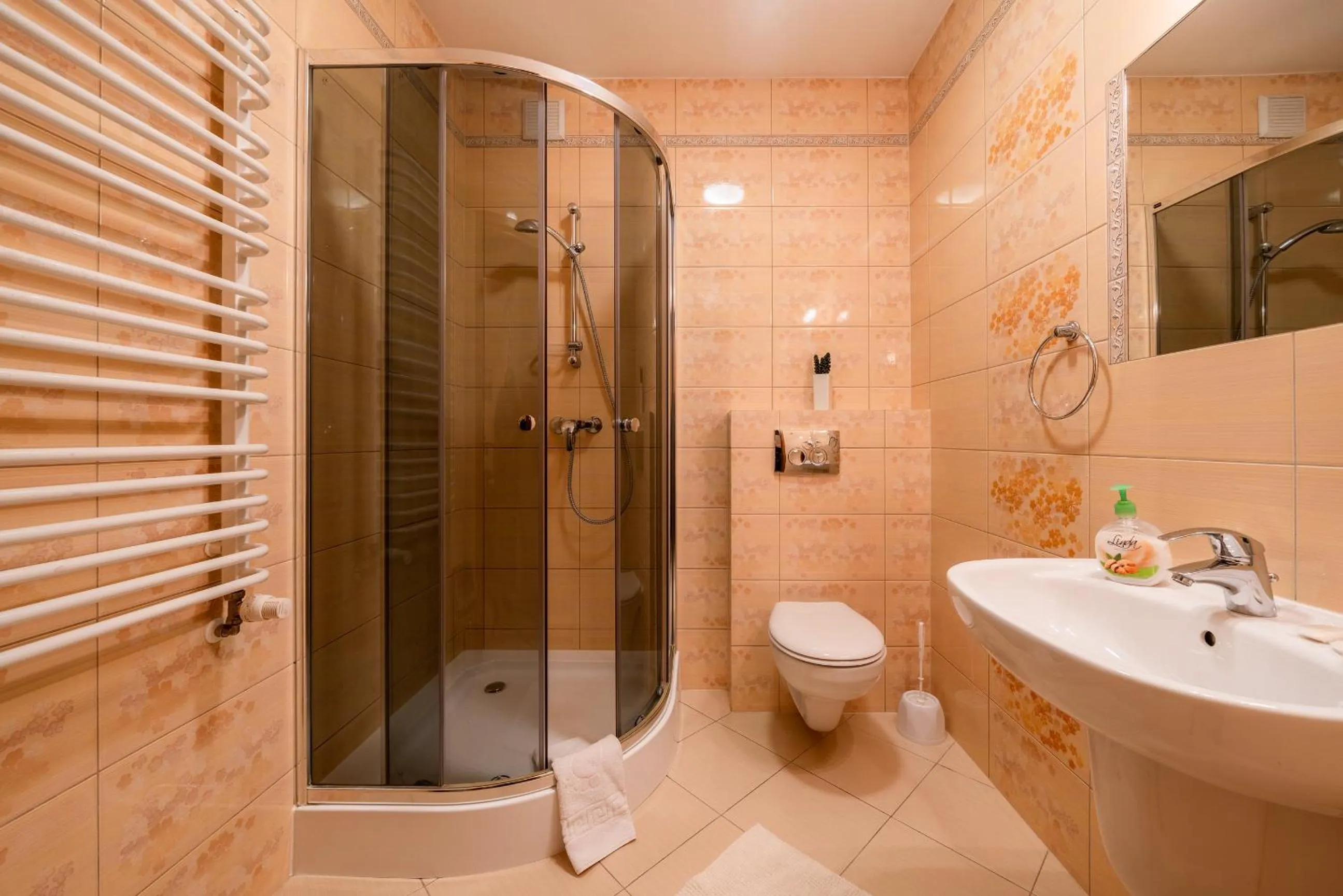 Shower in Willa u Zwijaczy