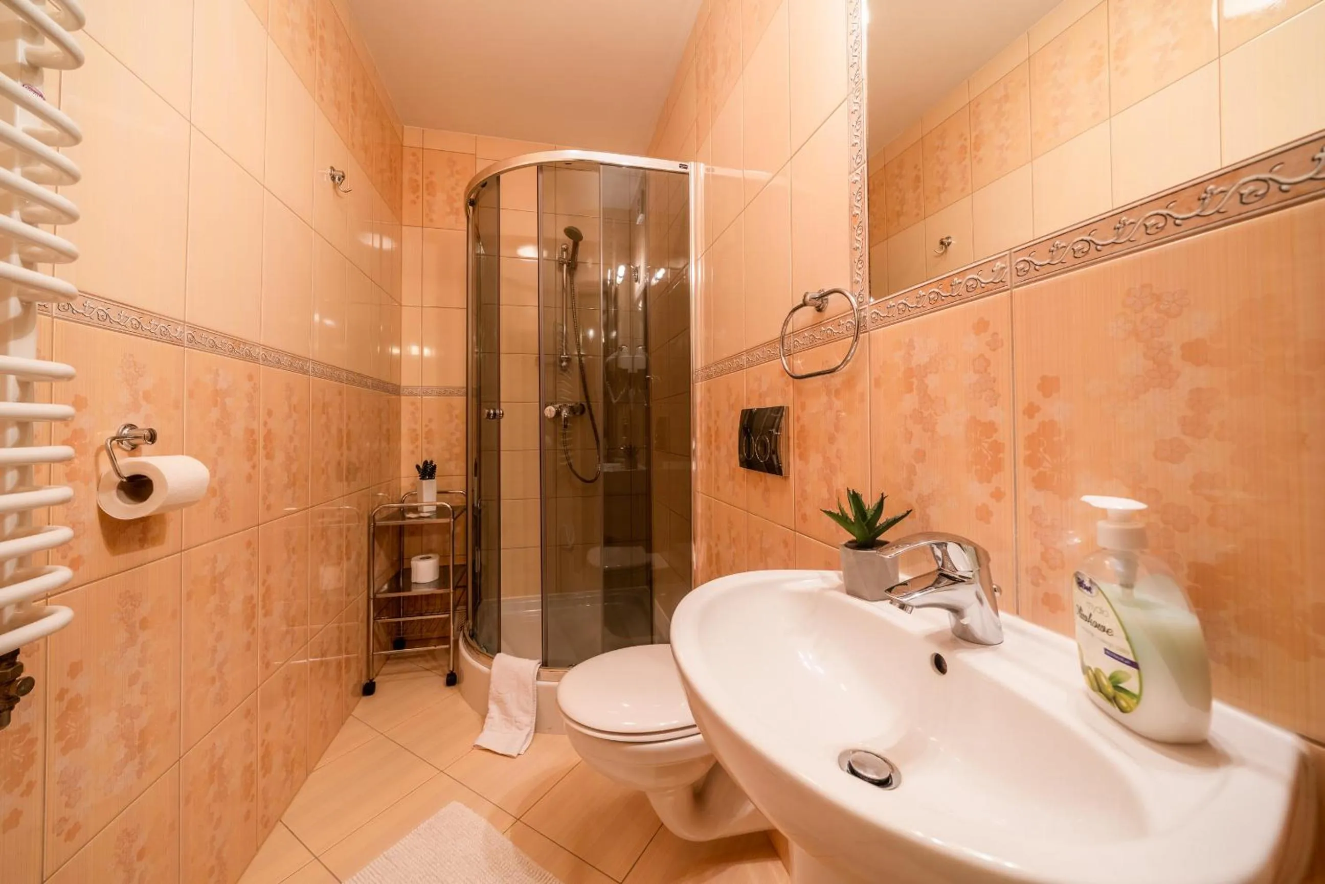 Shower in Willa u Zwijaczy