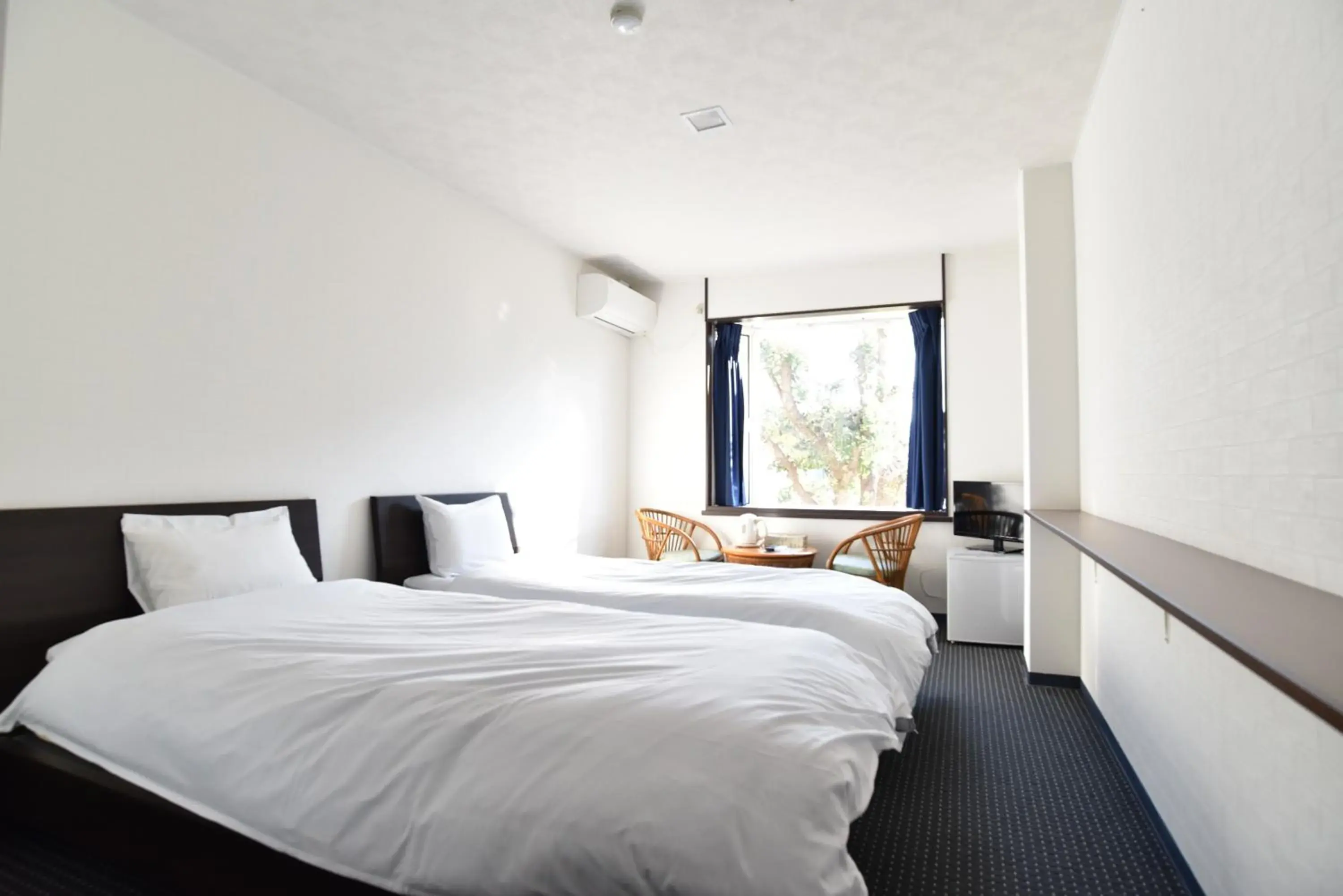 Standard Twin Room in Alaise De Bale Shirahama Standard Twin Room in Alaise De Bale Shirahama