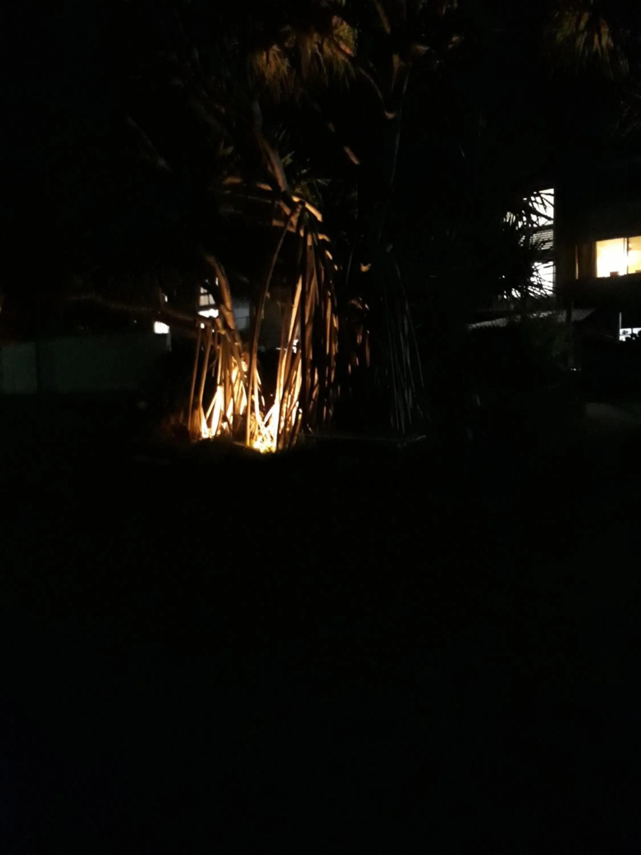 Night in Pandanus Coolum Beach