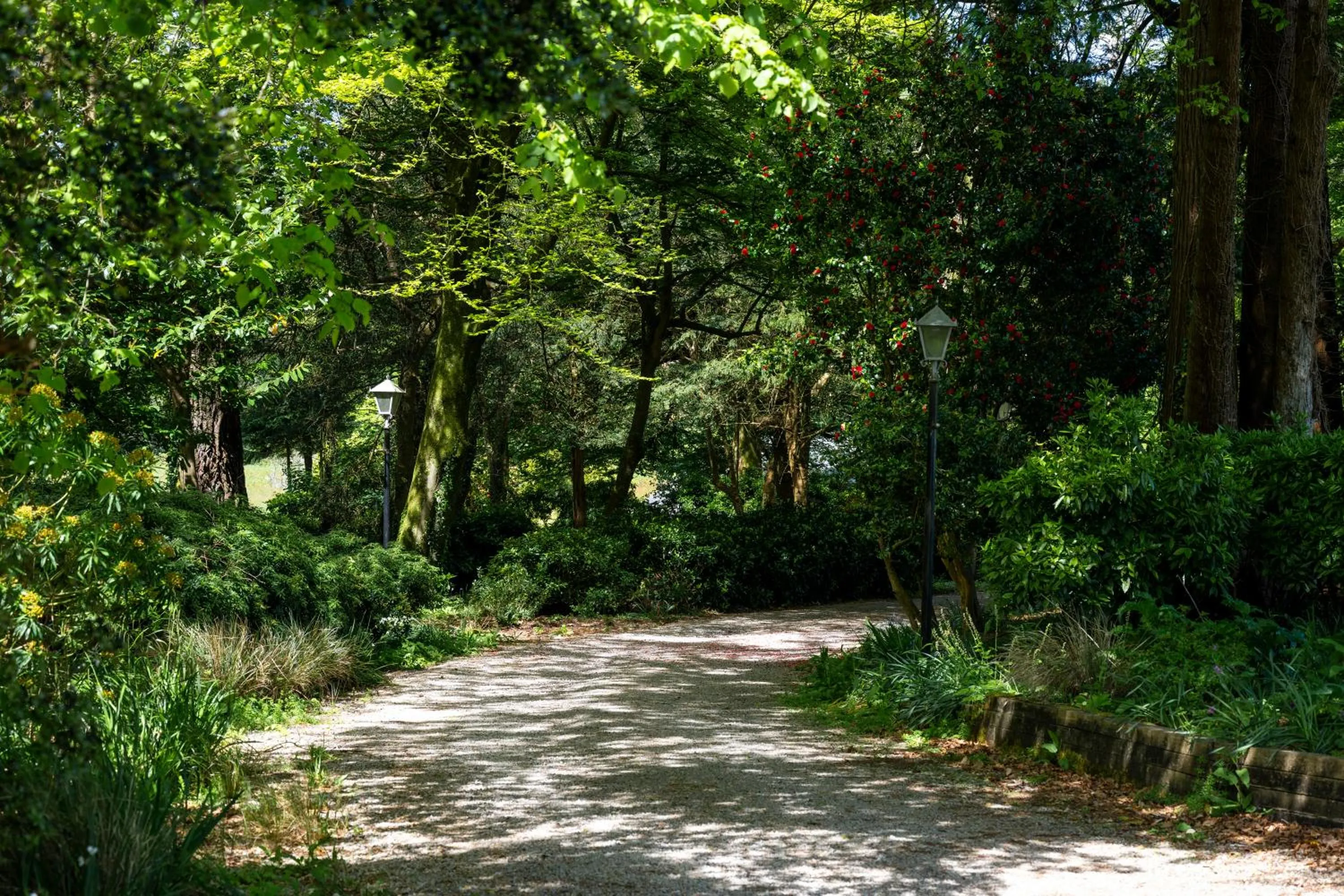 Garden in Penmorvah Manor Hotel