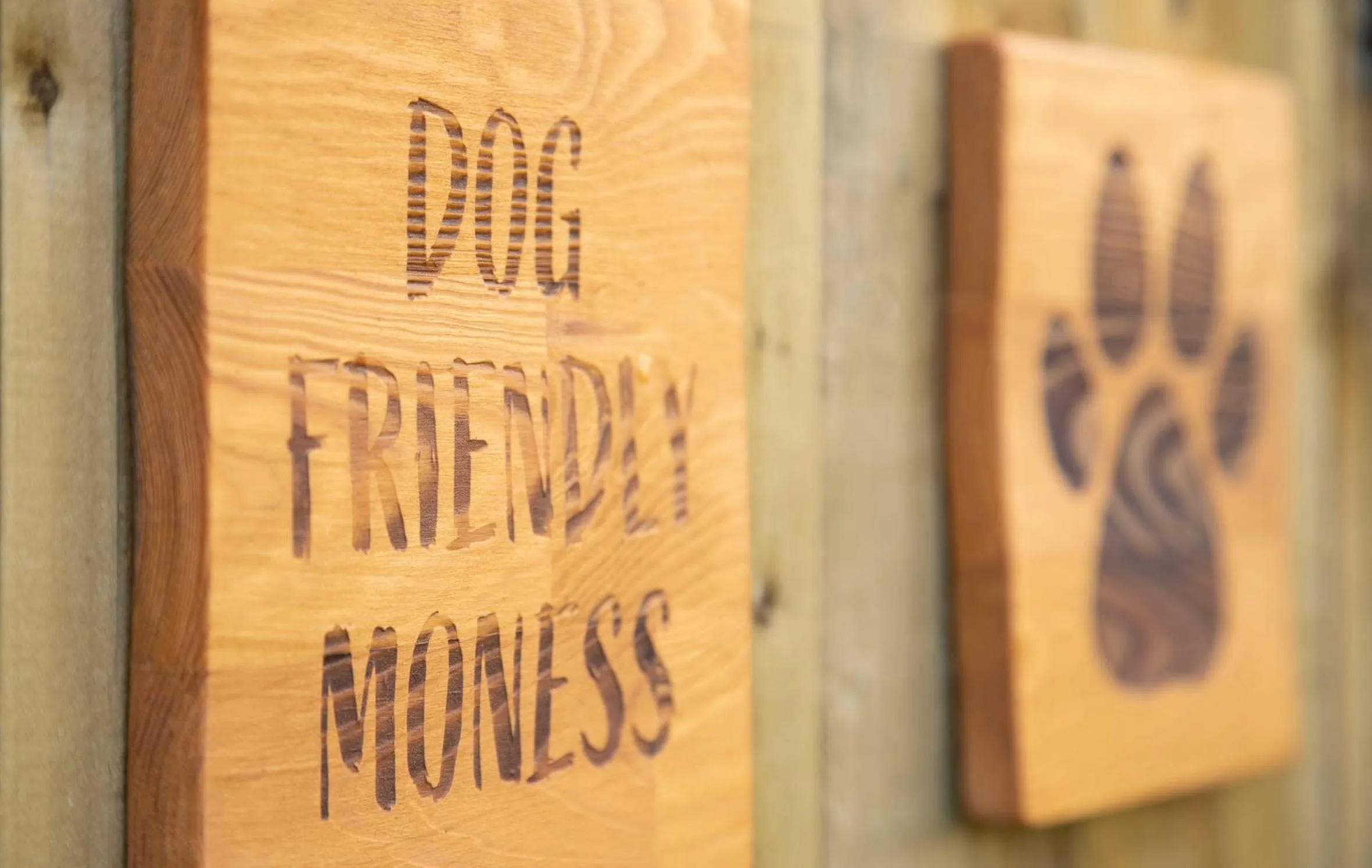 pet friendly in Moness Resort