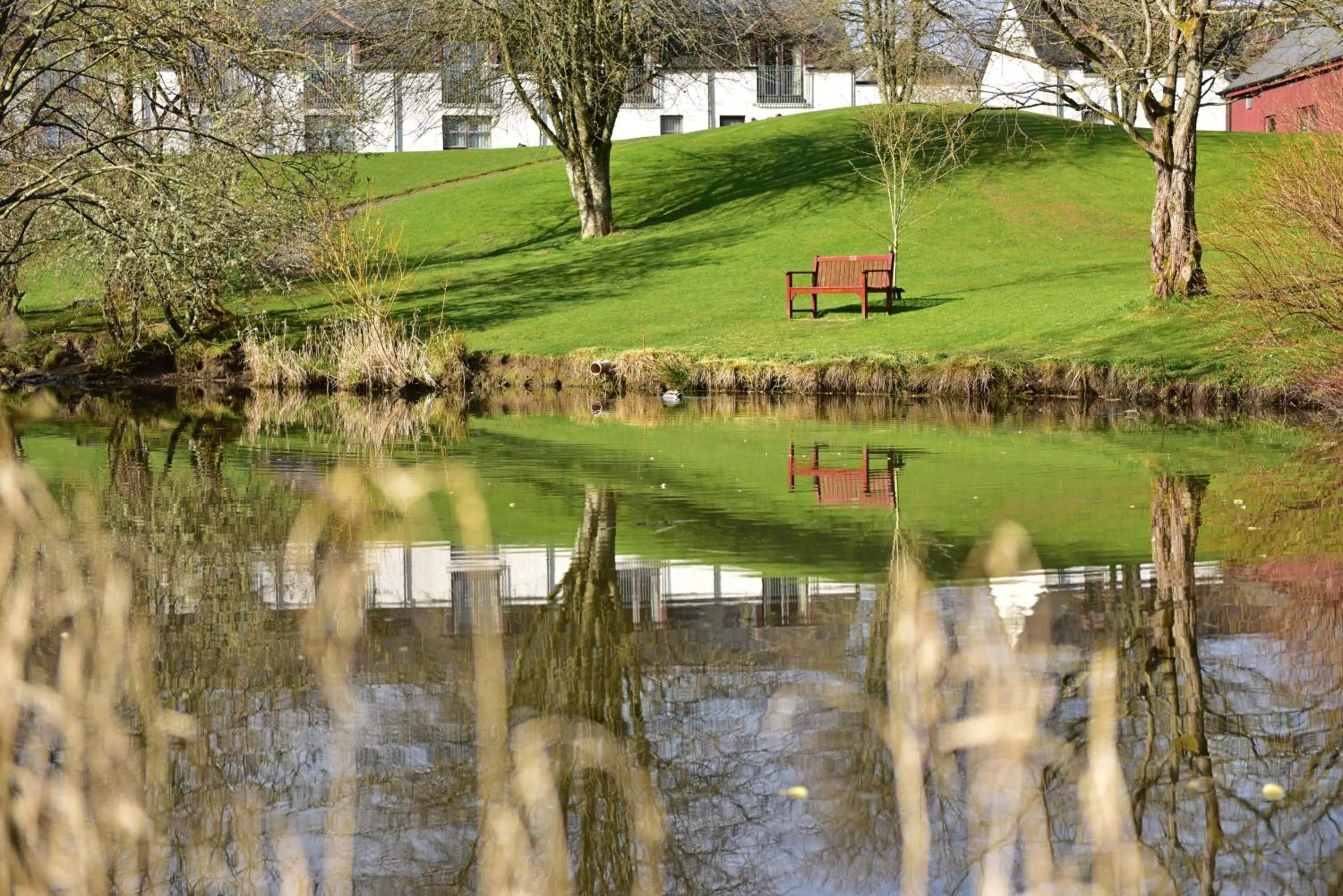 Garden in Moness Resort