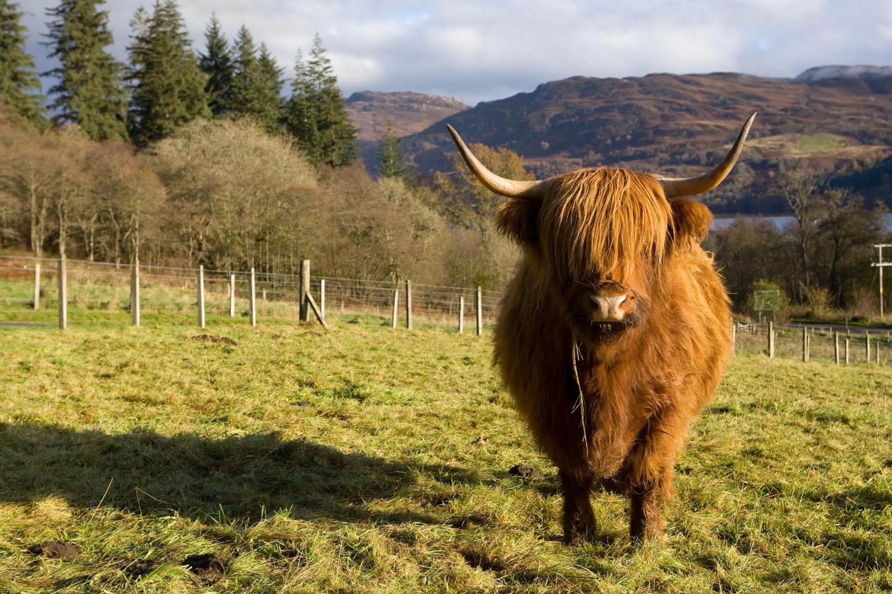 Area and facilities in Inch Hotel