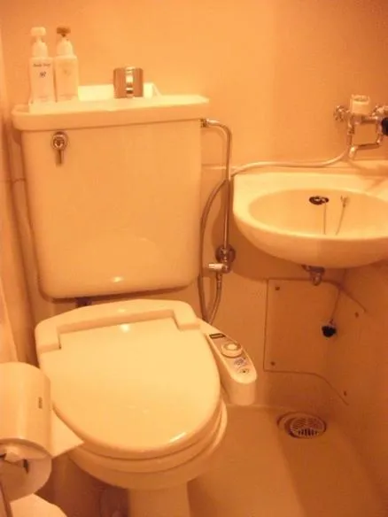 Bathroom in Hotel Yanagibashi