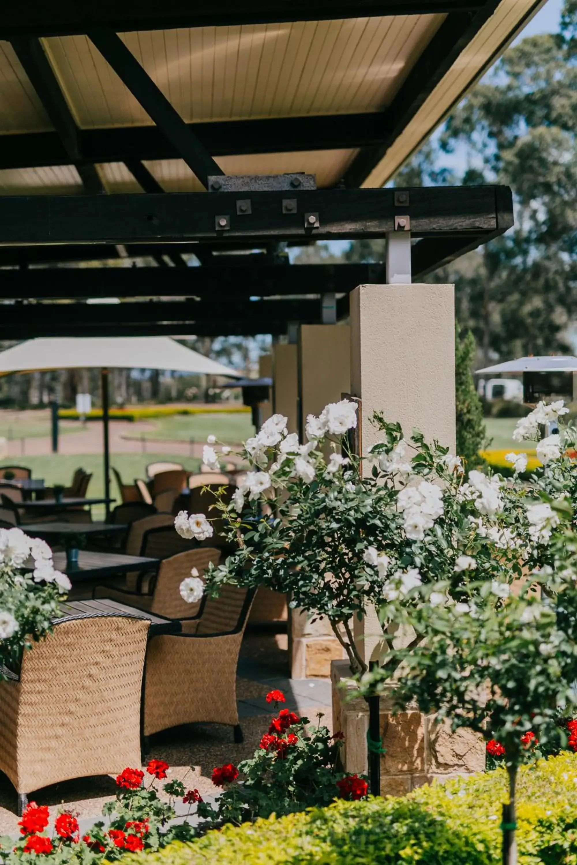 Restaurant/places to eat in Chateau Elan At The Vintage Restaurant/places to eat in Chateau Elan At The Vintage