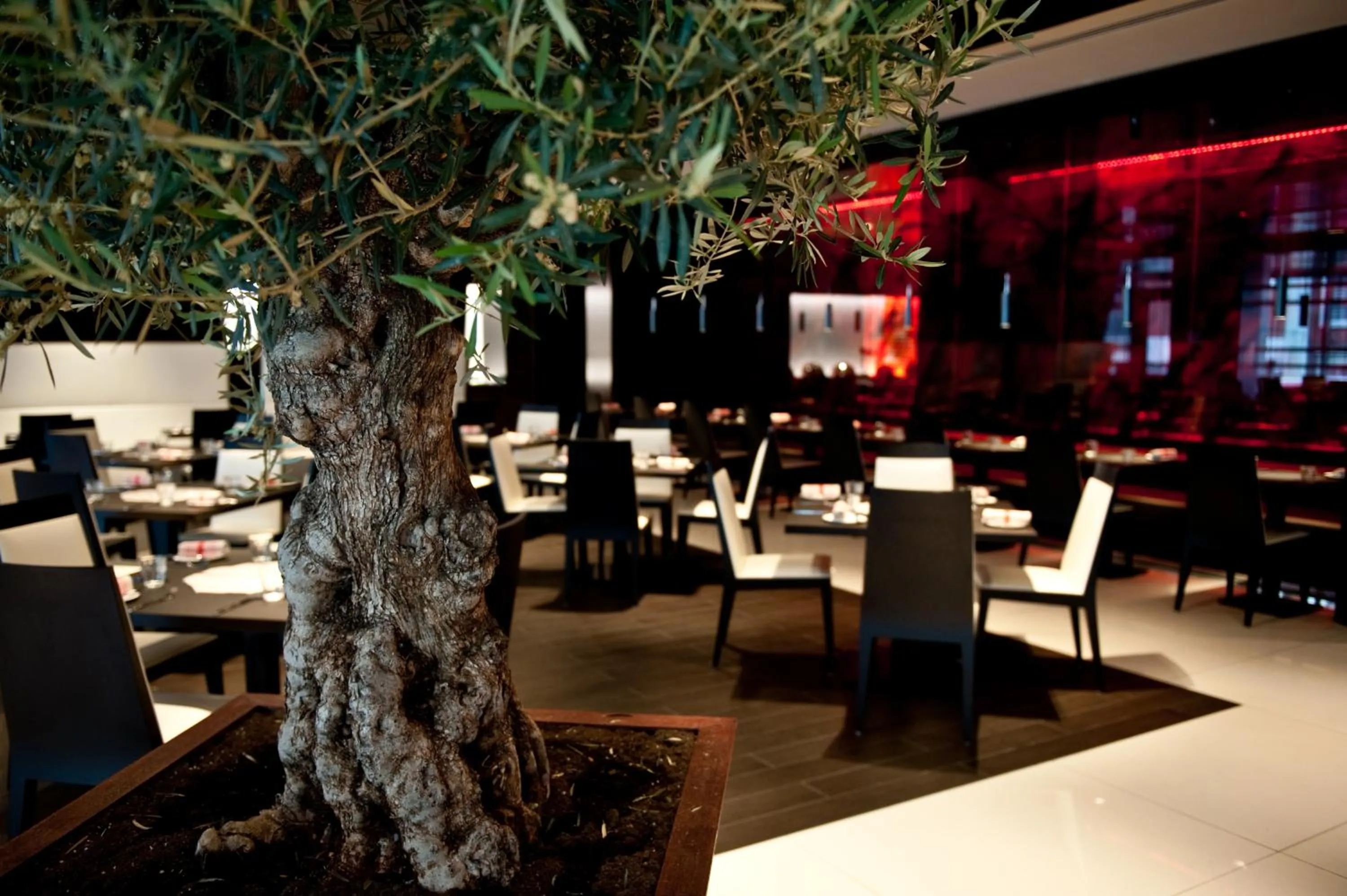 Lounge or bar in Park Plaza London Westminster Bridge