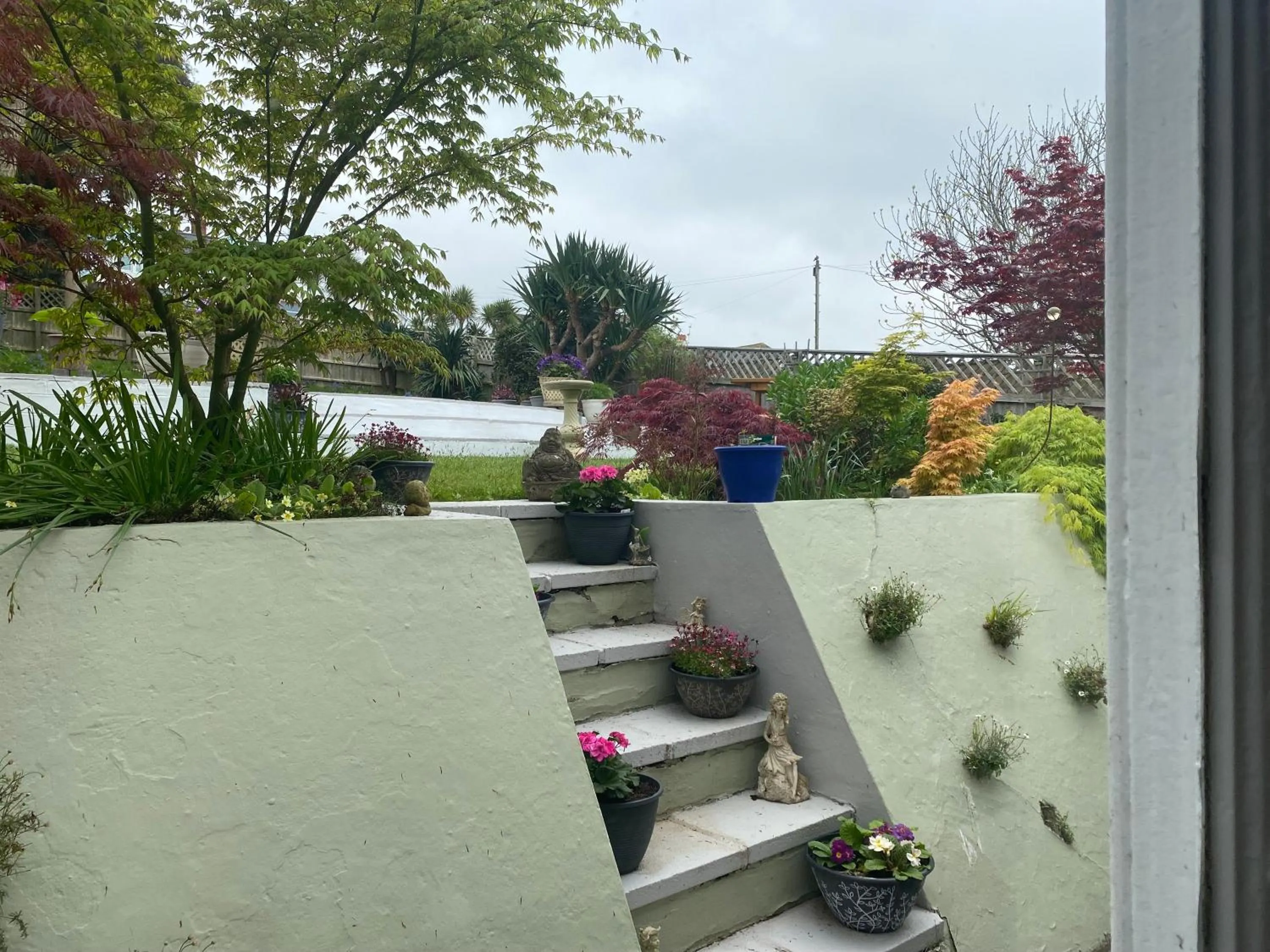 Garden in The Belmont