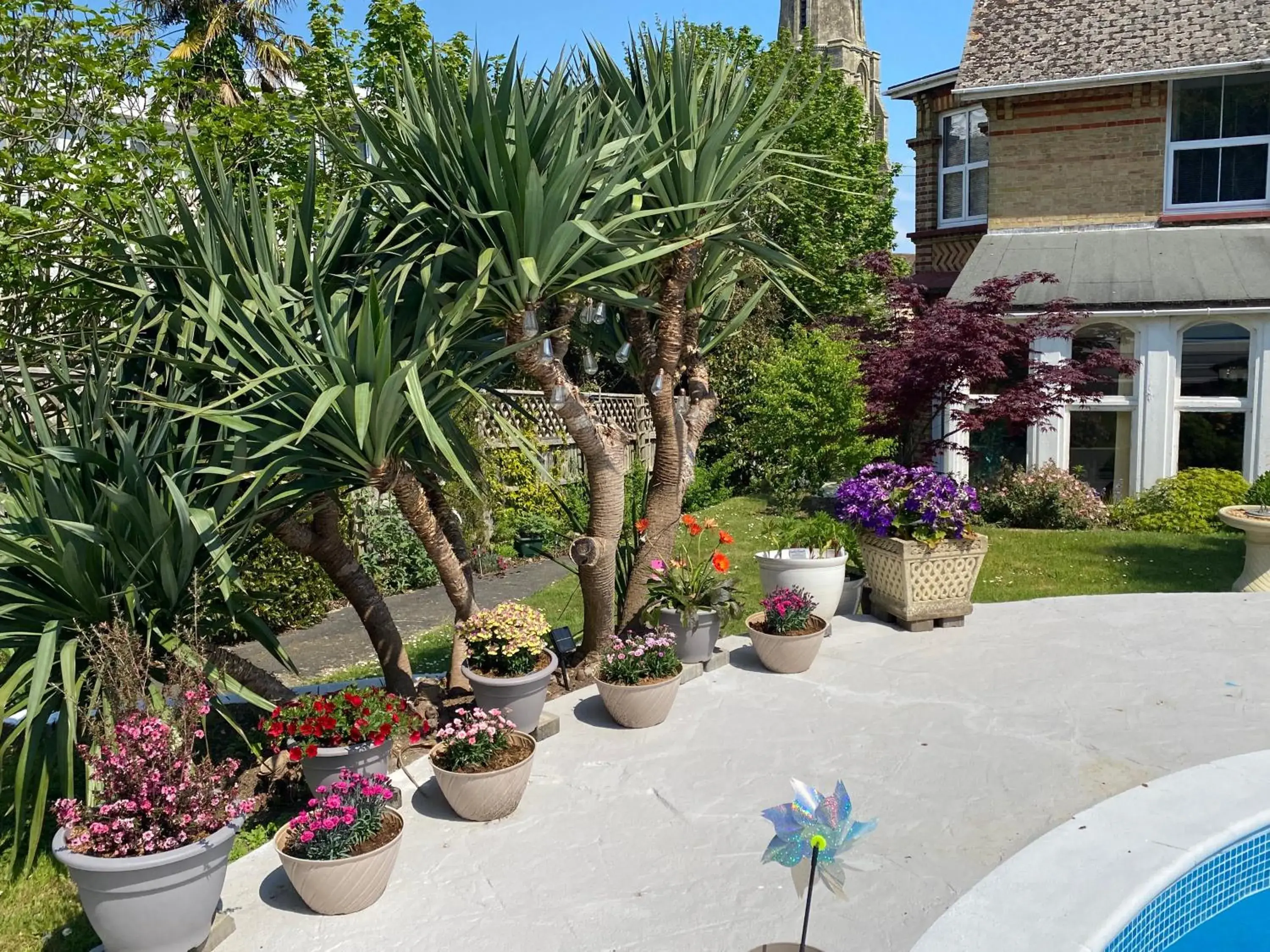 Swimming pool in The Belmont Swimming pool in The Belmont