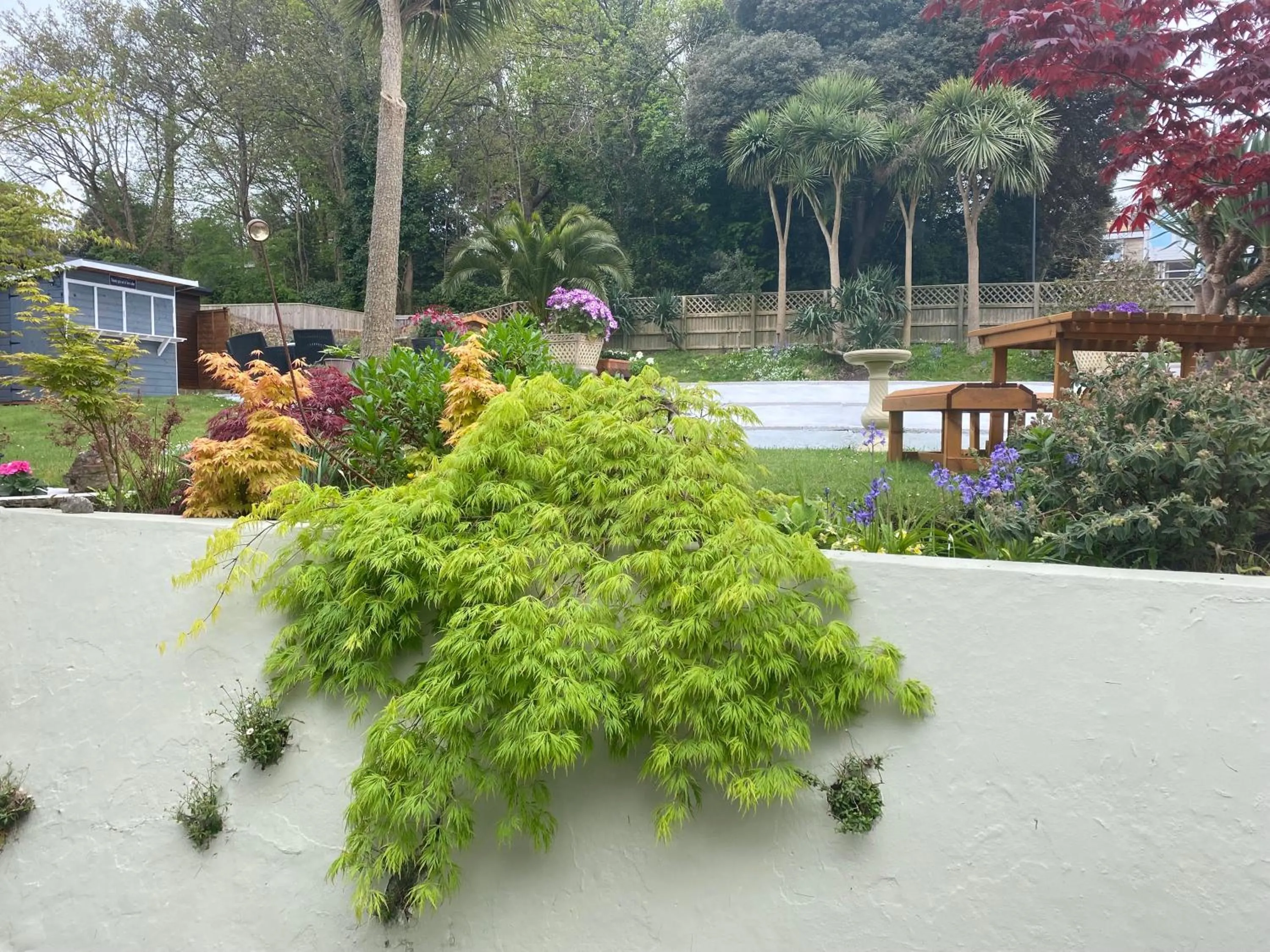 Spring in The Belmont