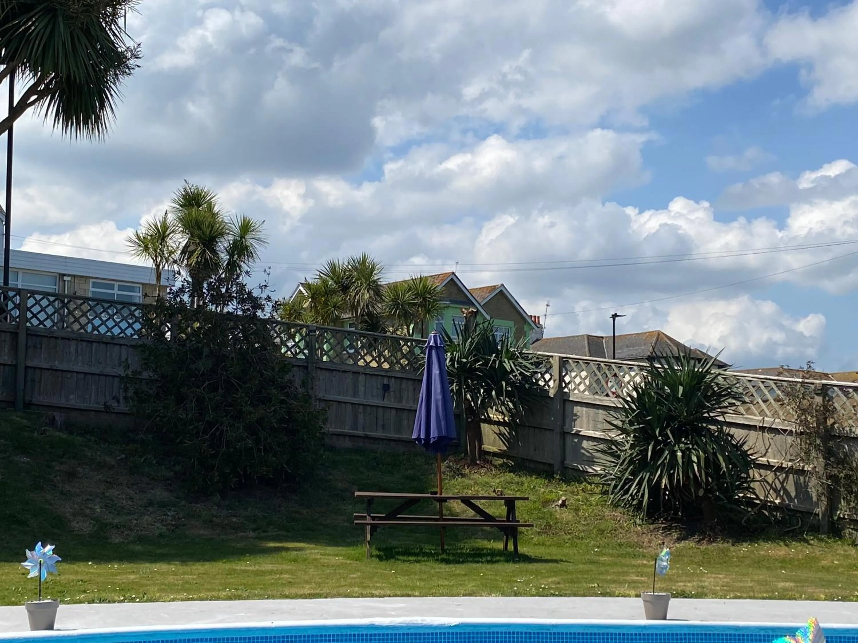 Garden in The Belmont